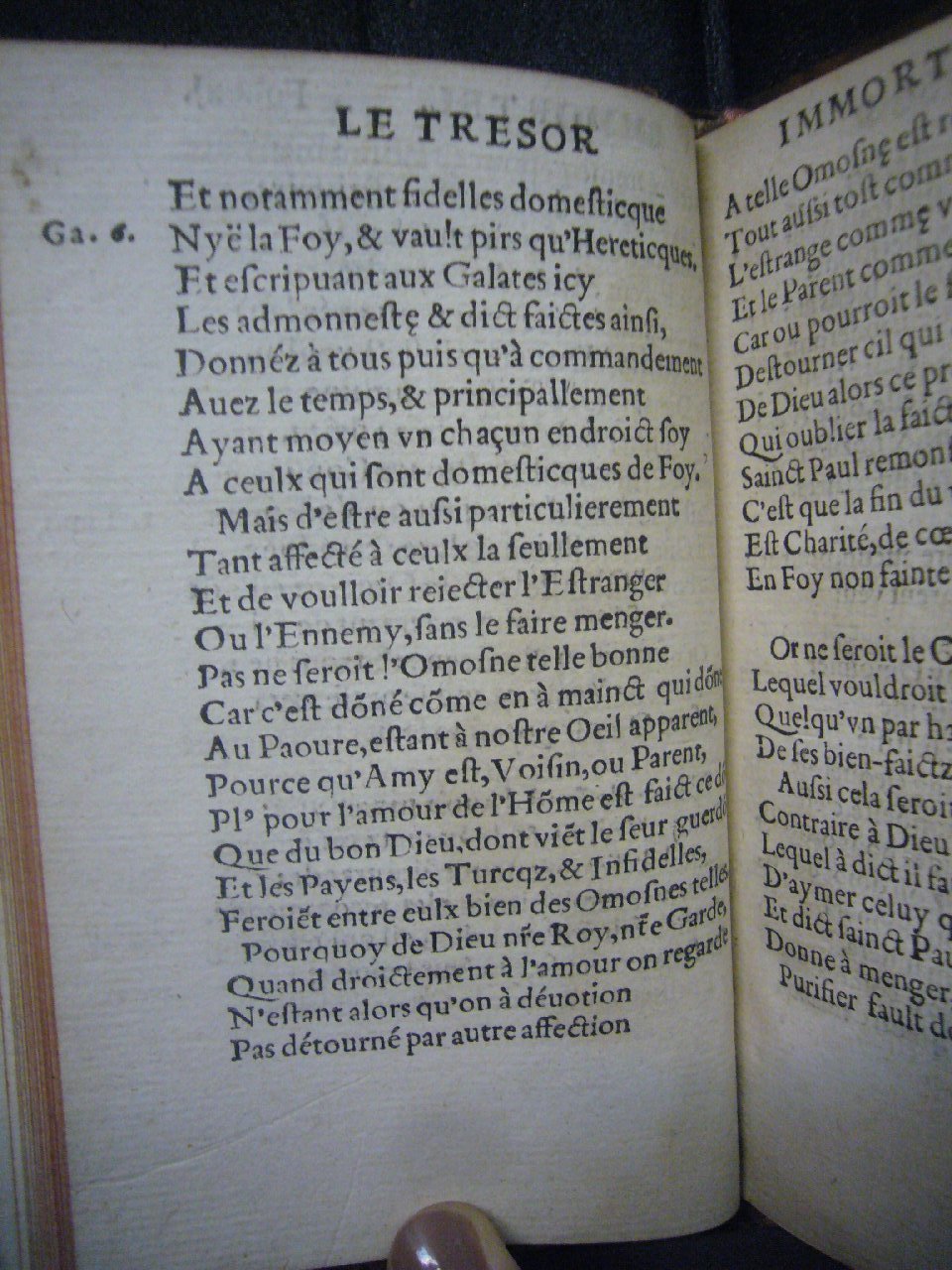 1556 - Nicolas Aubin et Martin le Mesgissier  - Trésor immortel - Versailles