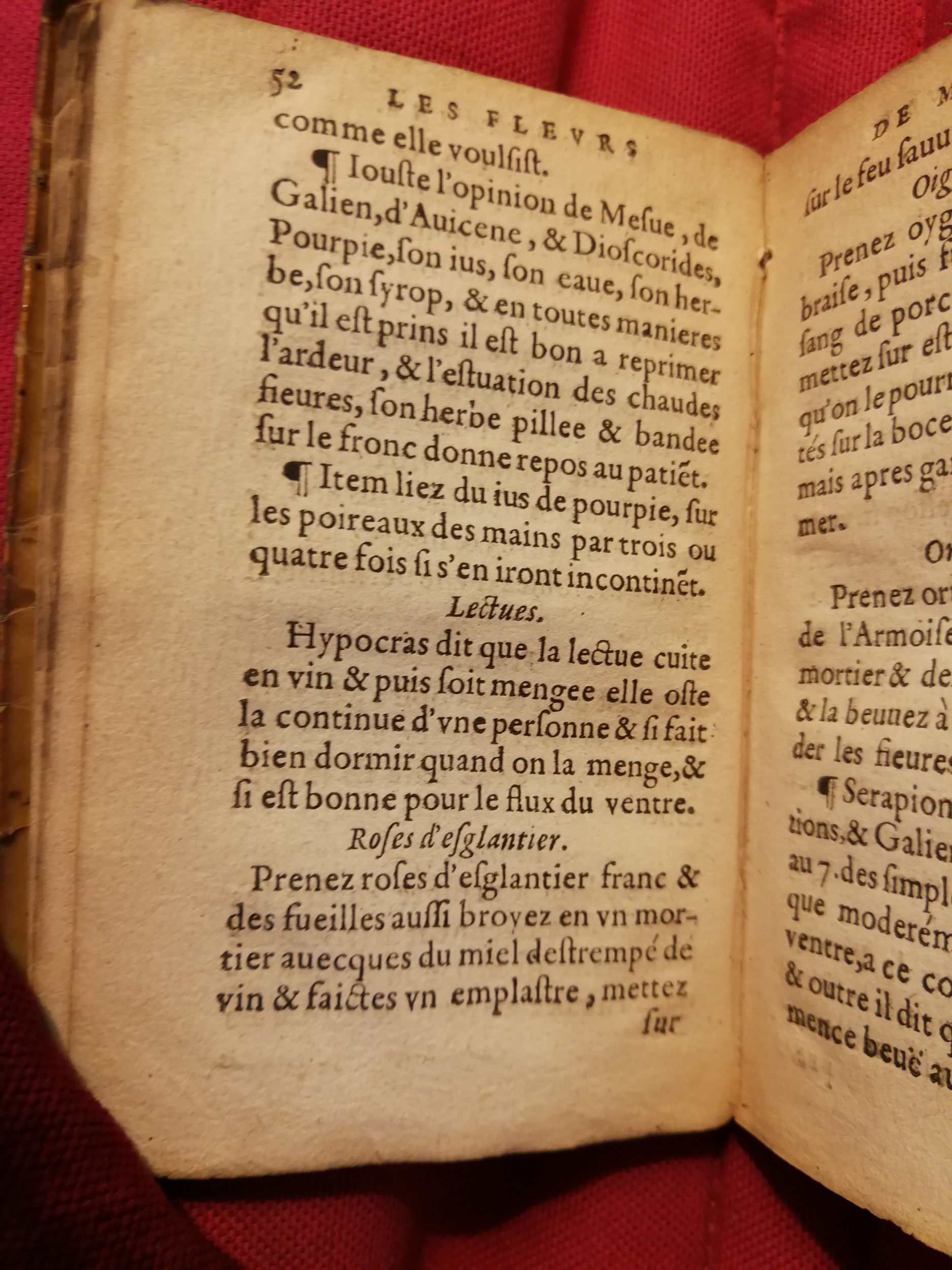 1586 - Benoît Rigaud - Trésor des fleurs et secrets de médecine - Sainte-Geneviève