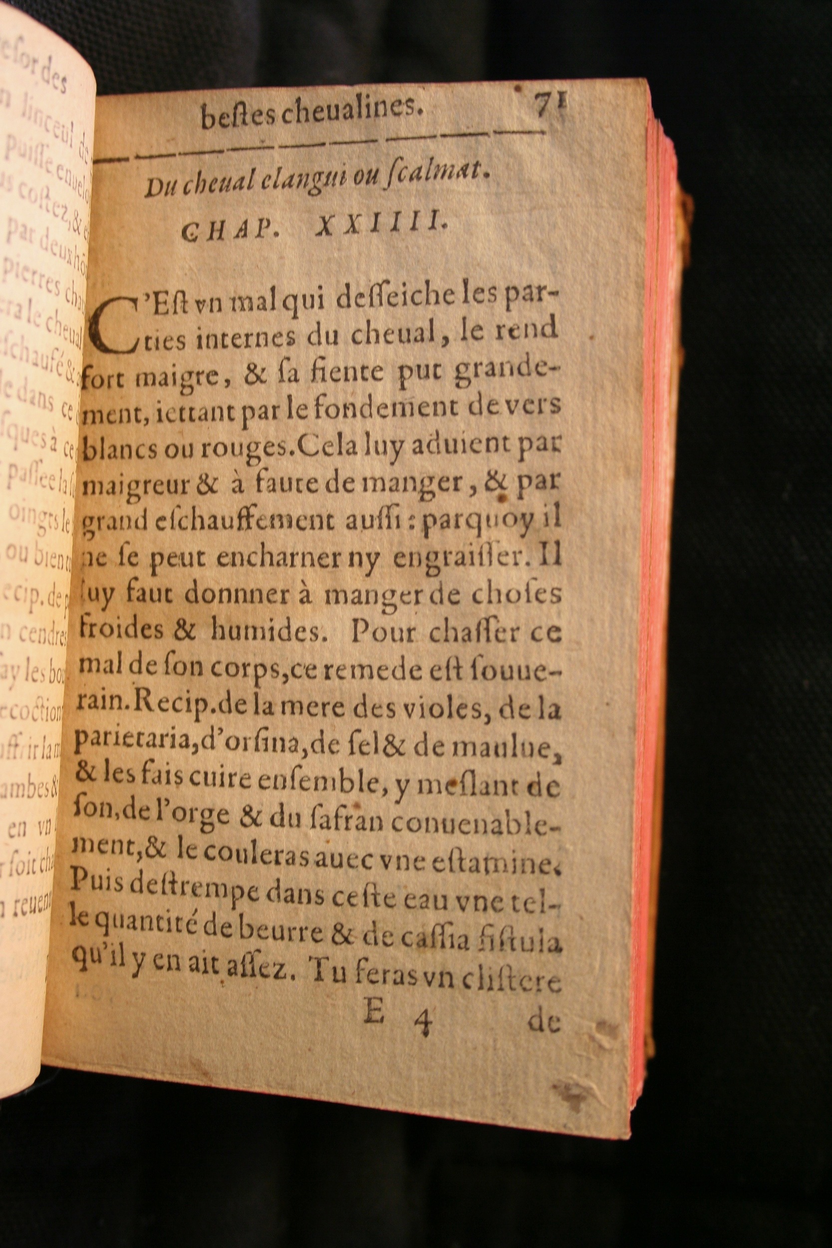 1591 - Pierre Chastaing et Benoît Rigaud - Trésor des bêtes chevalines - BM Bordeaux