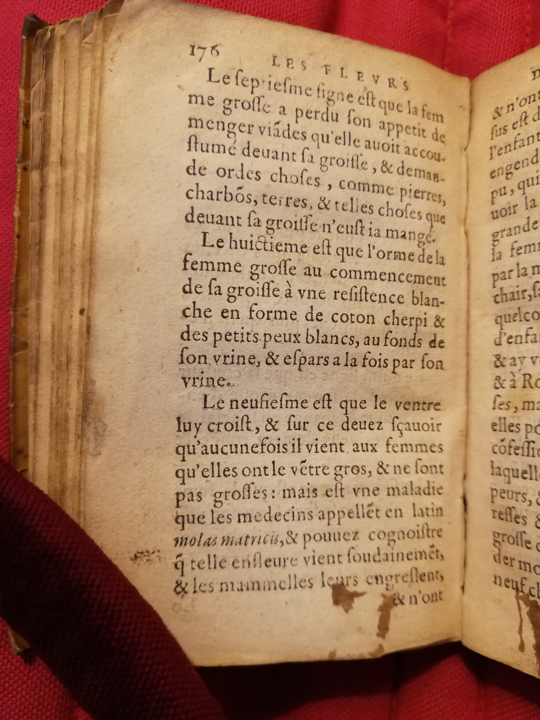1586 - Benoît Rigaud - Trésor des fleurs et secrets de médecine - Sainte-Geneviève