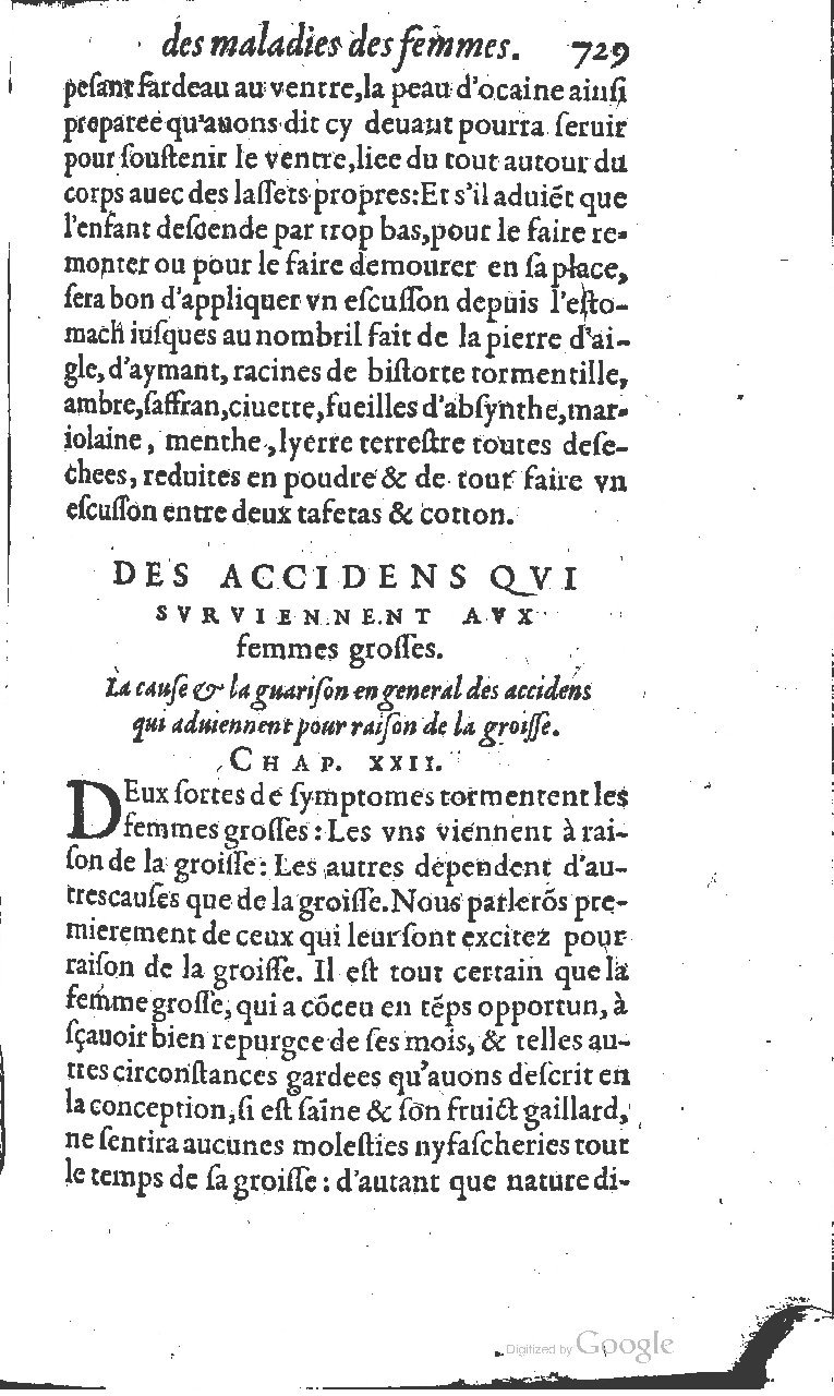 1617 - Jean Le Bouc - Trésor des remèdes secrets - BM Lyon
