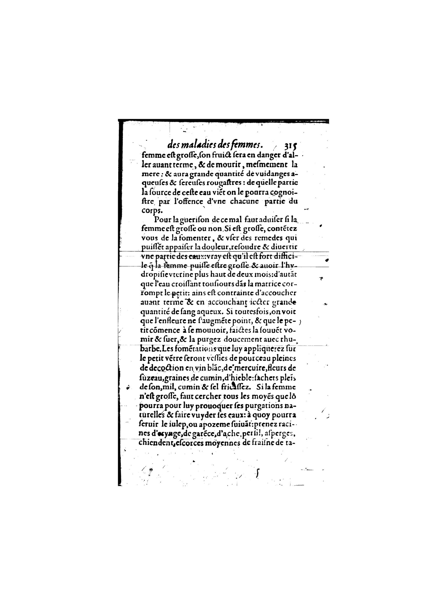 1587 - Jacques du Puis - Trésor des remèdes secrets pour les maladies des femmes - BnF 1587 - Jacques du Puis - Trésor des remèdes secrets pour les maladies des femmes - BnF