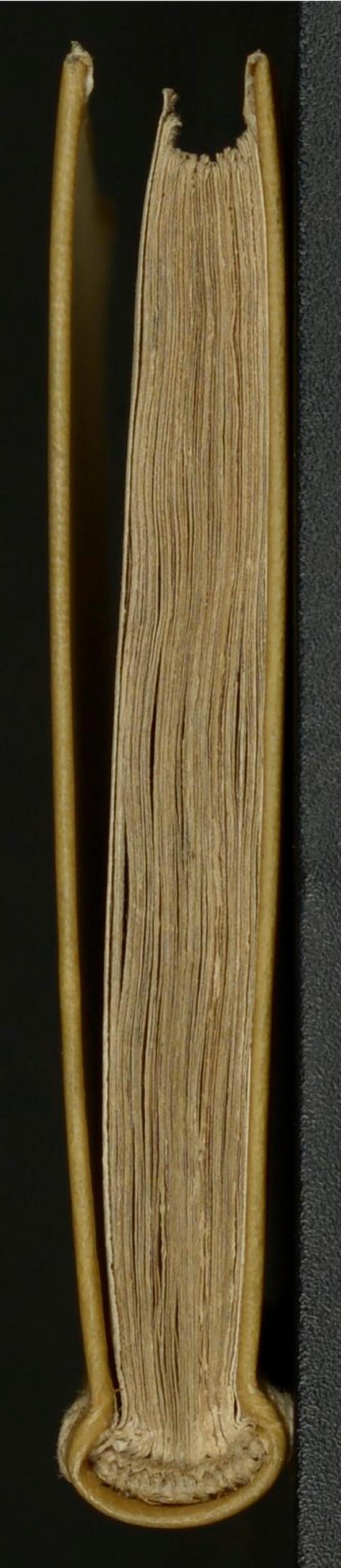 1619 - SHC - Trésor de l’histoire des langues de cet univers - BSB Munich