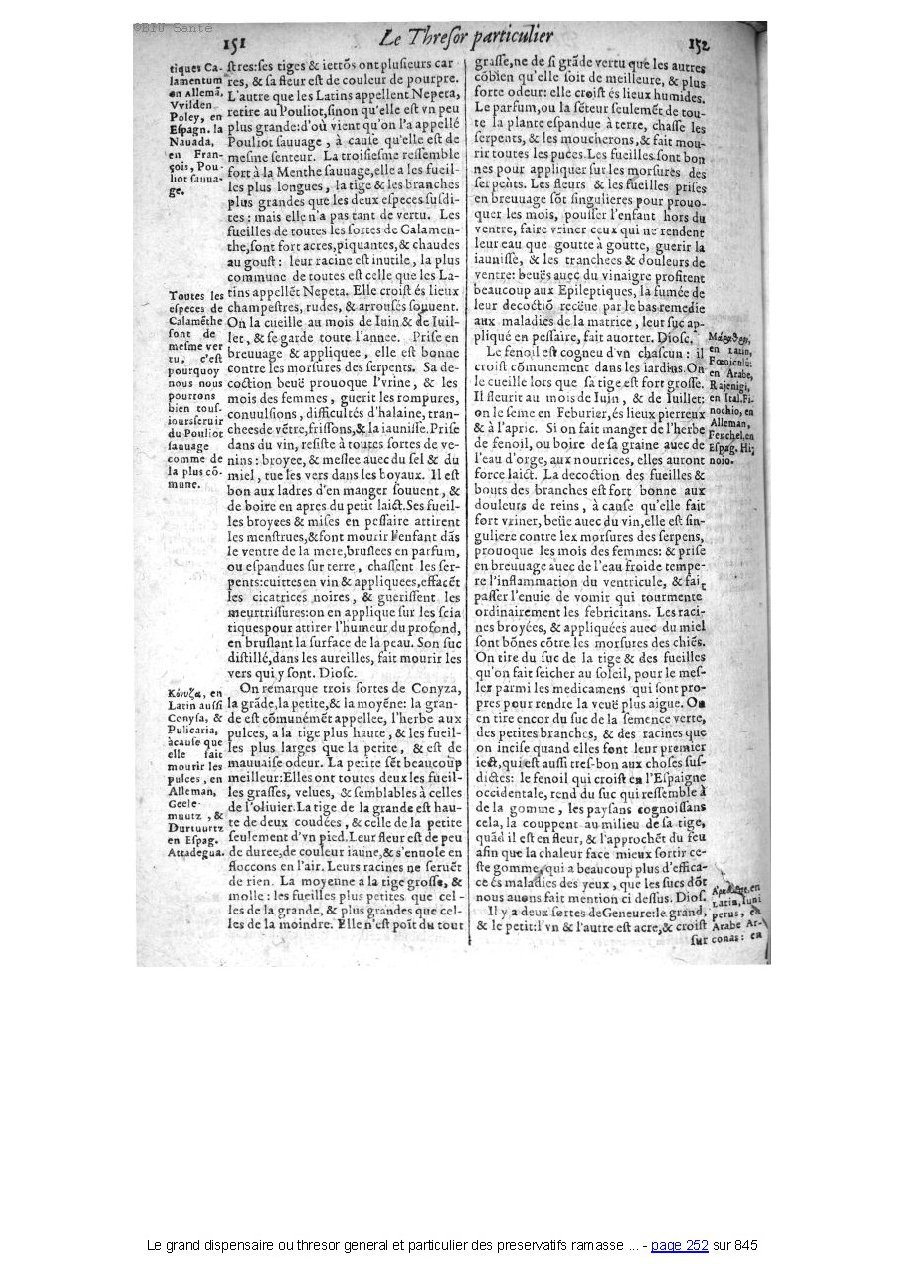 1609 - Étienne Gamonet - Grand dispensaire ou Trésor général et particulier des préservatifs - BIU Santé 1609 - Étienne Gamonet - Grand dispensaire ou Trésor général et particulier des préservatifs - BIU Santé