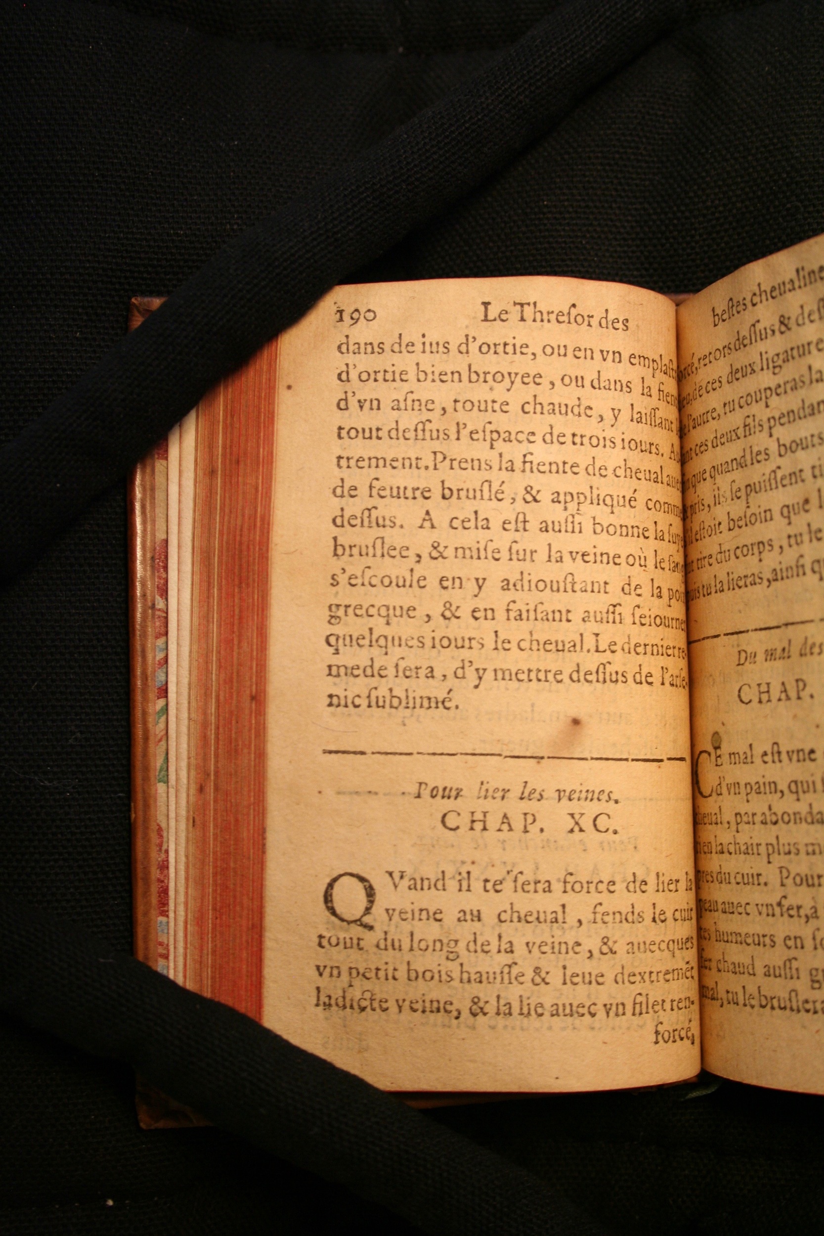 1591 - Pierre Chastaing et Benoît Rigaud - Trésor des bêtes chevalines - BM Bordeaux
