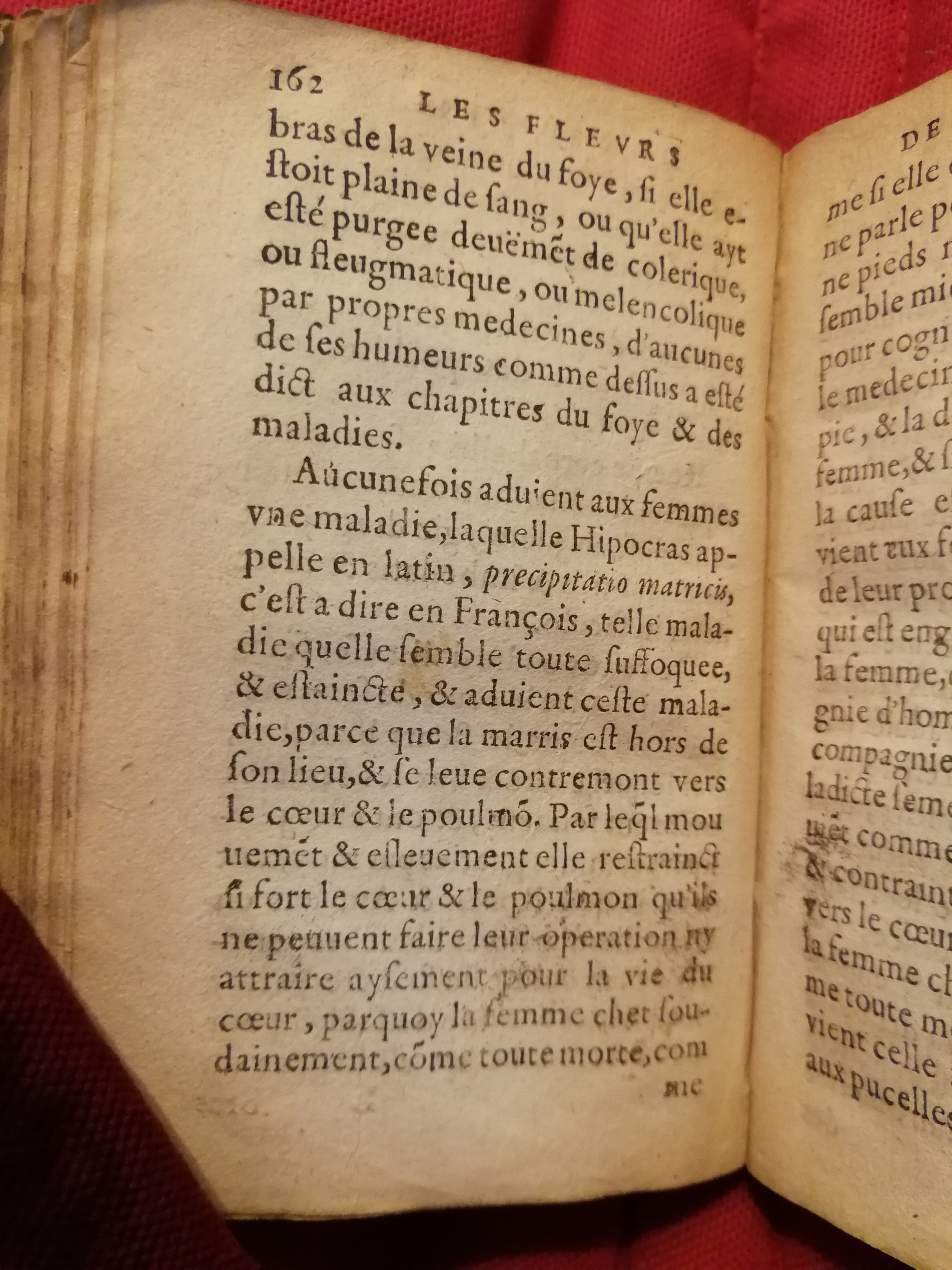 1586 - Benoît Rigaud - Trésor des fleurs et secrets de médecine - Sainte-Geneviève