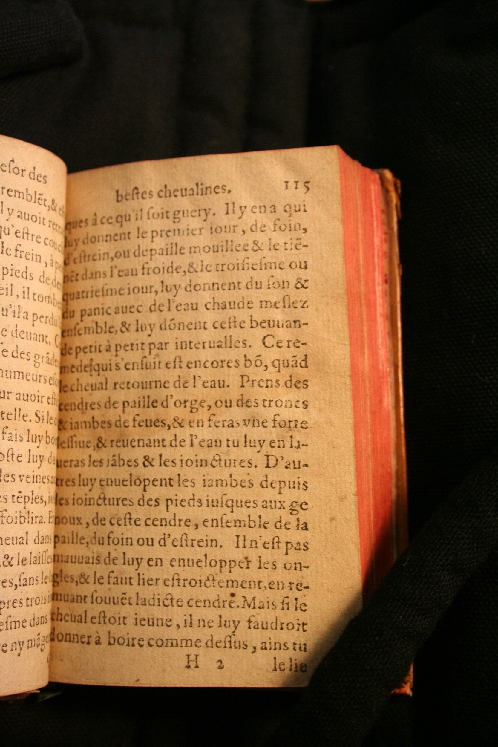 1591 - Pierre Chastaing et Benoît Rigaud - Trésor des bêtes chevalines - BM Bordeaux