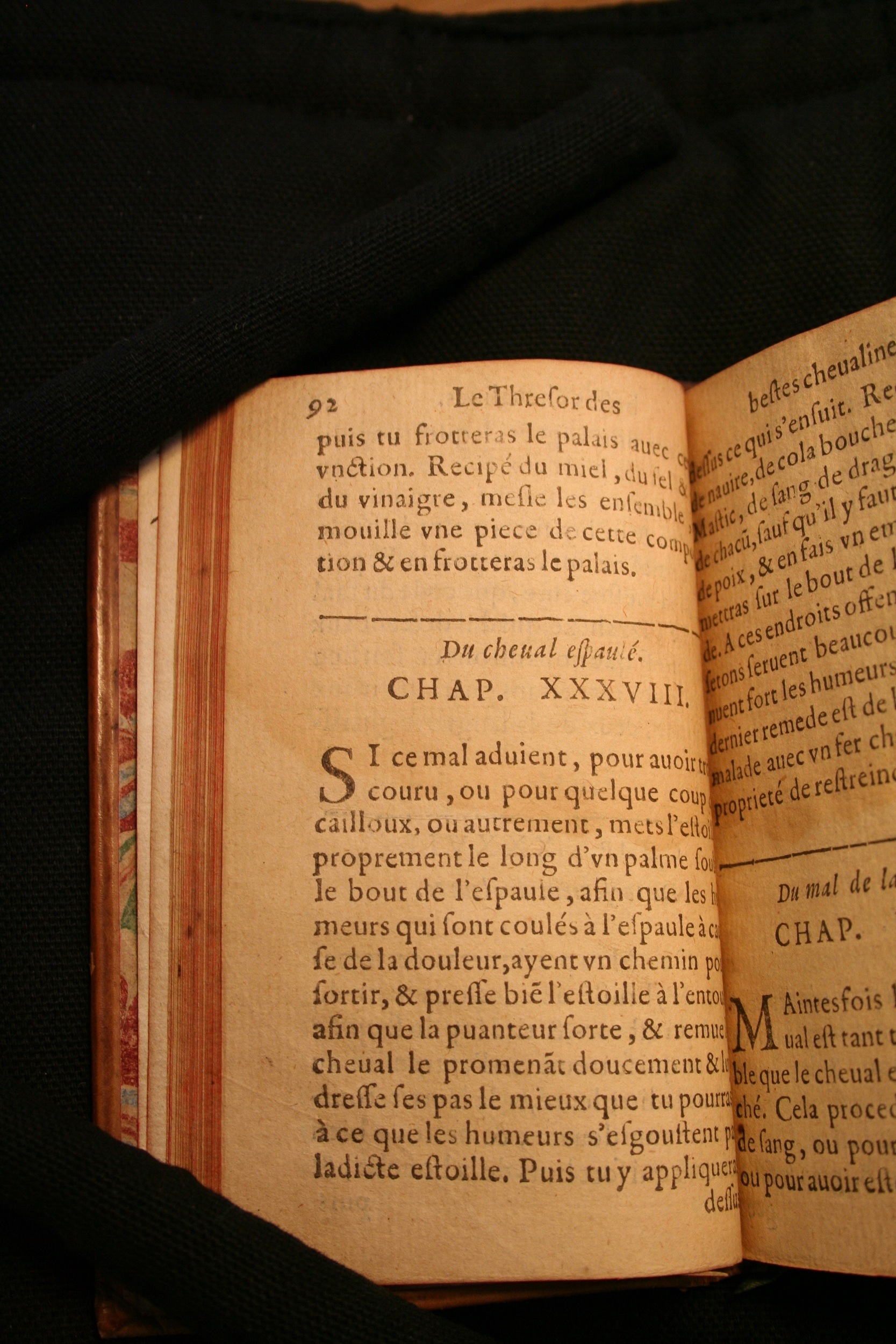 1591 - Pierre Chastaing et Benoît Rigaud - Trésor des bêtes chevalines - BM Bordeaux