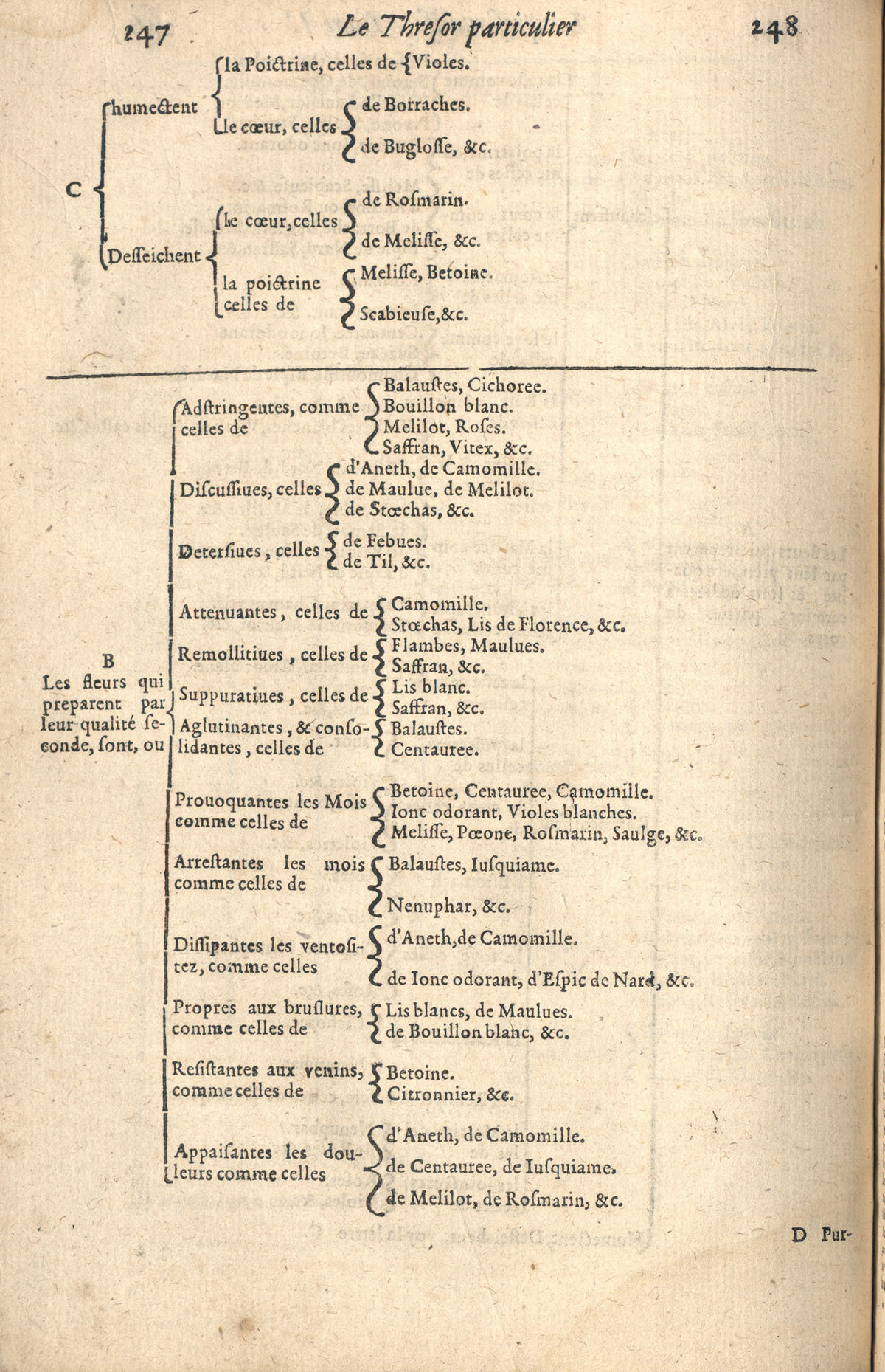 1610 - Étienne Gamonet - Grand Trésor ou dispensaire - CESR Tours 1610 - Étienne Gamonet - Grand Trésor ou dispensaire - CESR Tours