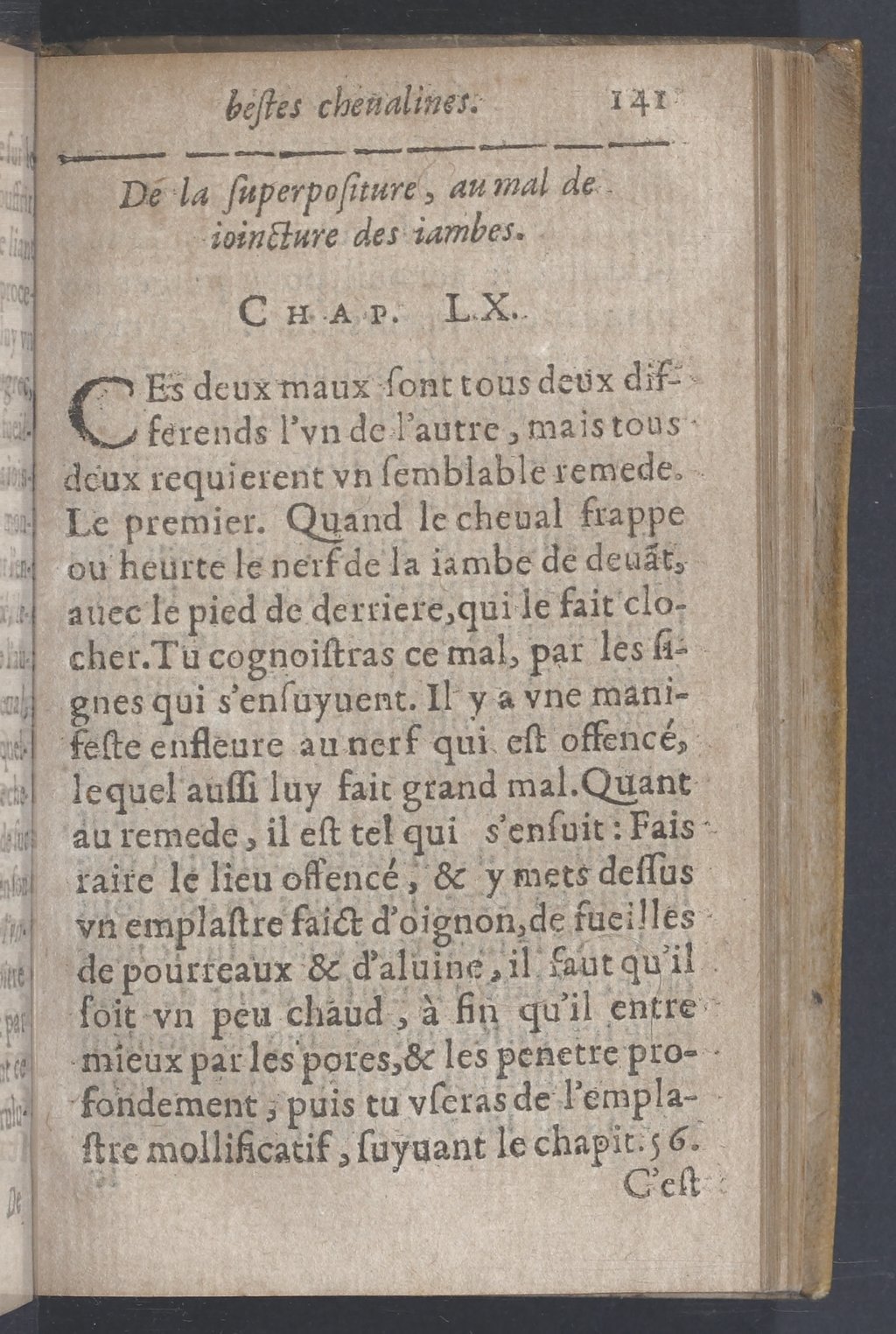 1619 - Pierre Rigaud - Trésor des bêtes chevalines - BnF 1619 - Pierre Rigaud - Trésor des bêtes chevalines - BnF