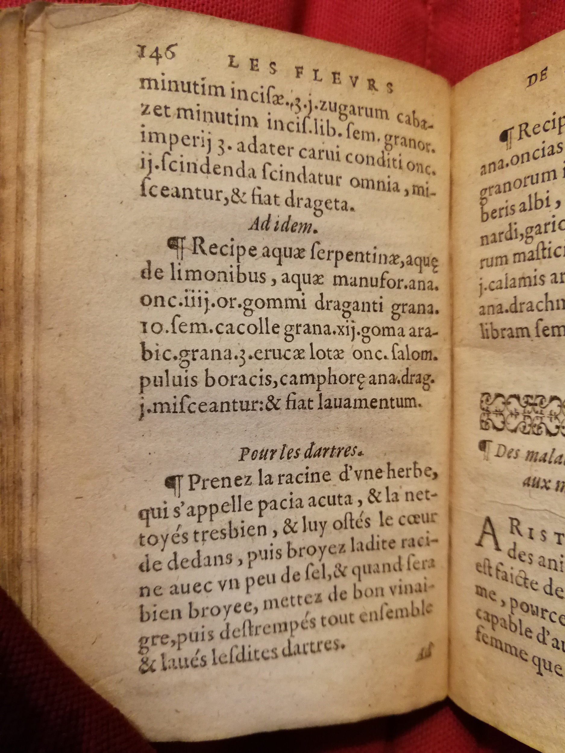 1586 - Benoît Rigaud - Trésor des fleurs et secrets de médecine - Sainte-Geneviève