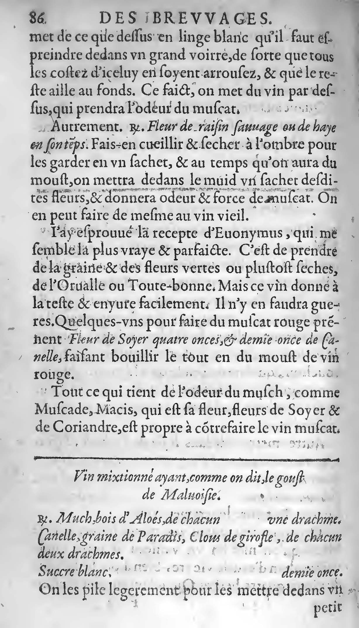 1607 Étienne Servain et Jean Antoine Huguetan - Trésor de santé ou ménage de la vie humaine - BIU Santé_Page_105.jpg