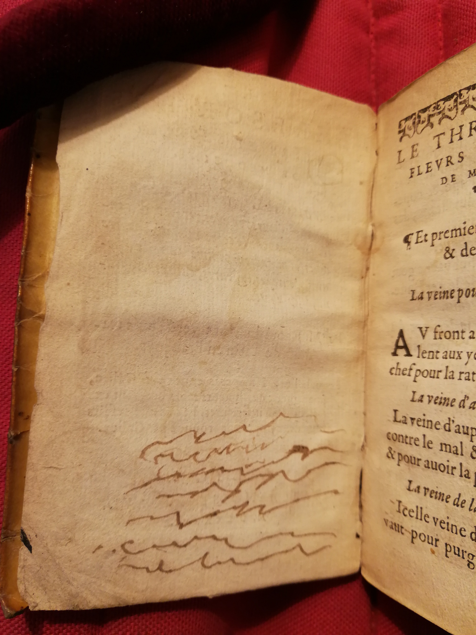 1586 - Benoît Rigaud - Trésor des fleurs et secrets de médecine - Sainte-Geneviève