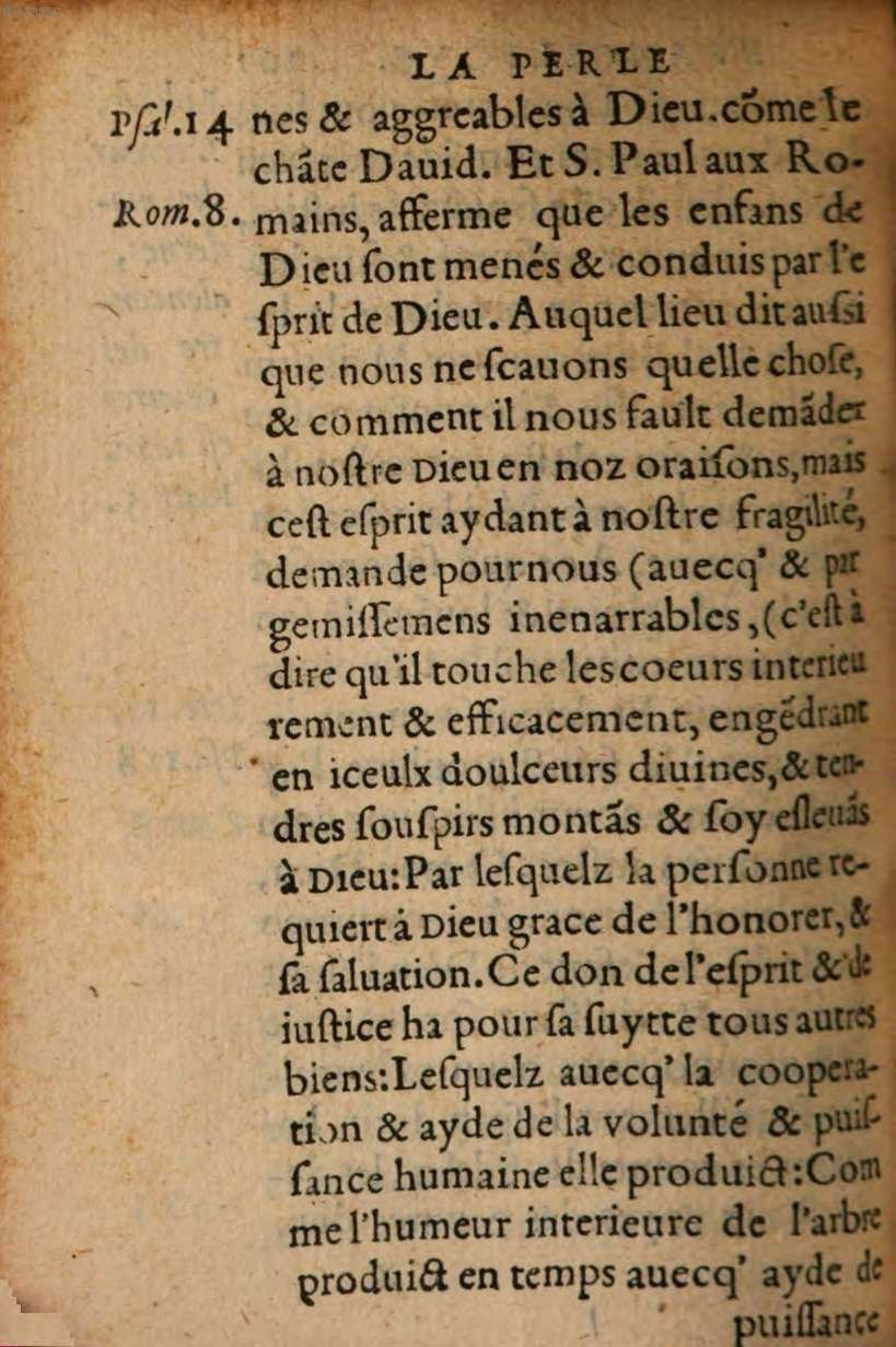 1548 - René Avril et Vivant Gaulterot - Perle précieuse évangélique et Trésor divin - BSB Munich