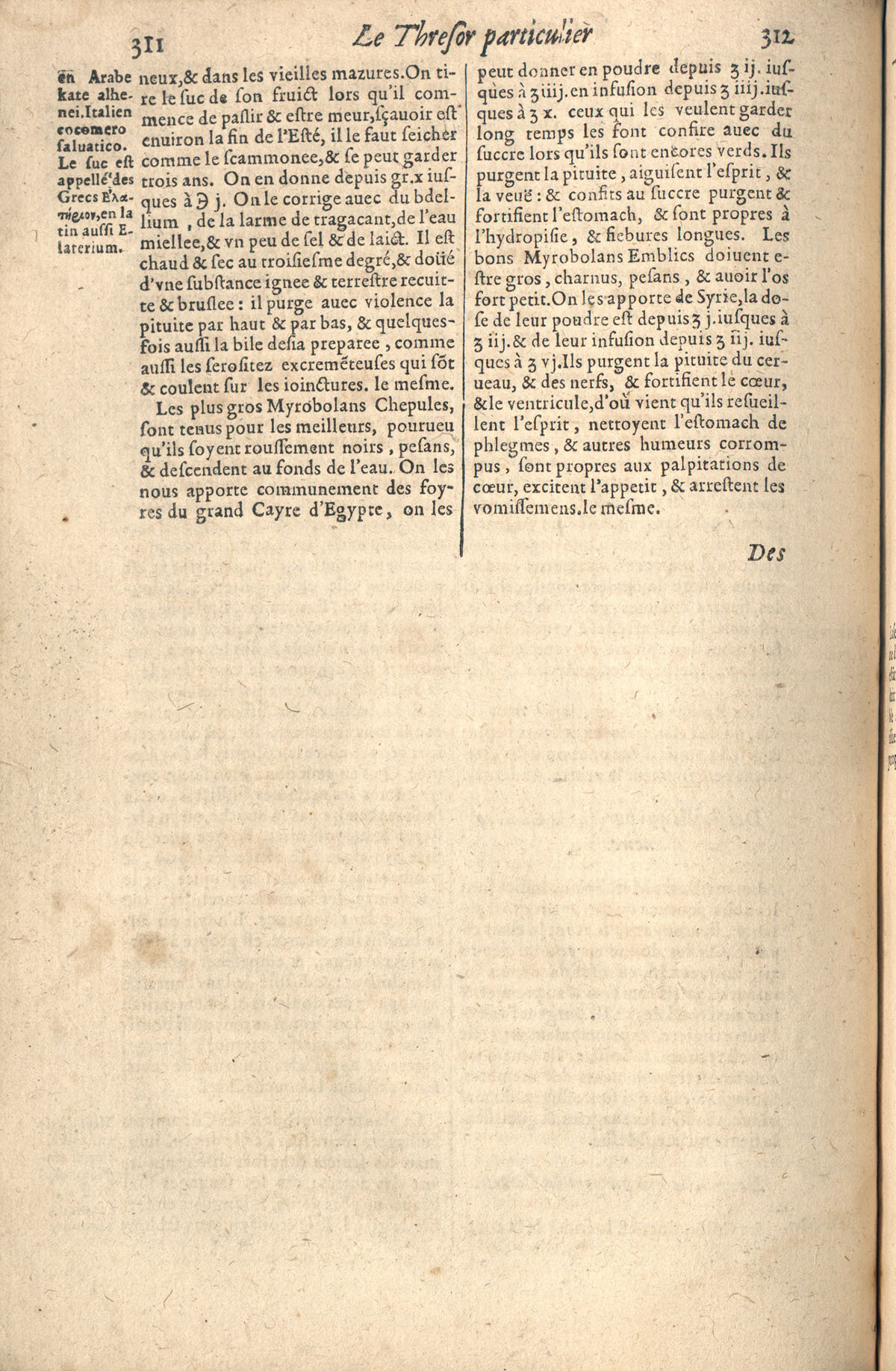 1610 - Étienne Gamonet - Grand Trésor ou dispensaire - CESR Tours