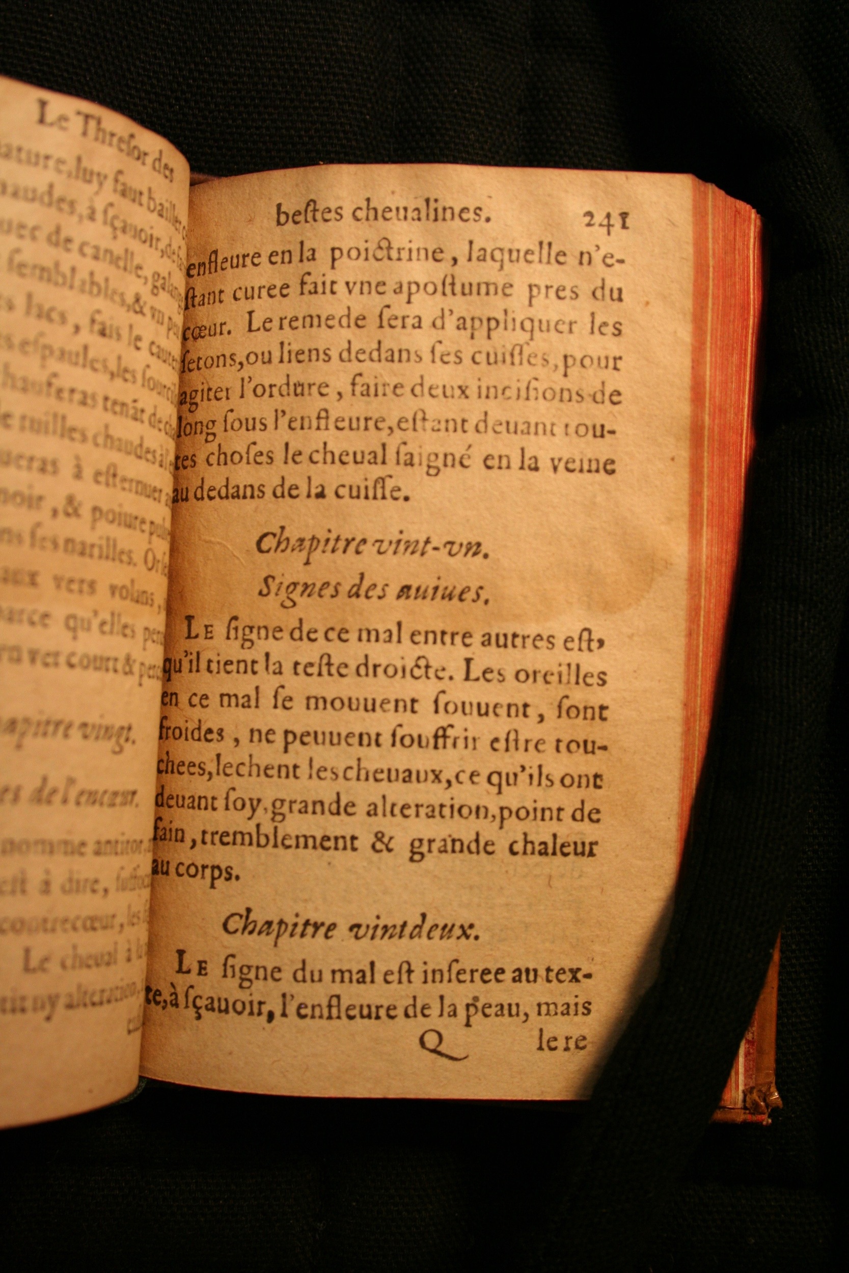 1591 - Pierre Chastaing et Benoît Rigaud - Trésor des bêtes chevalines - BM Bordeaux