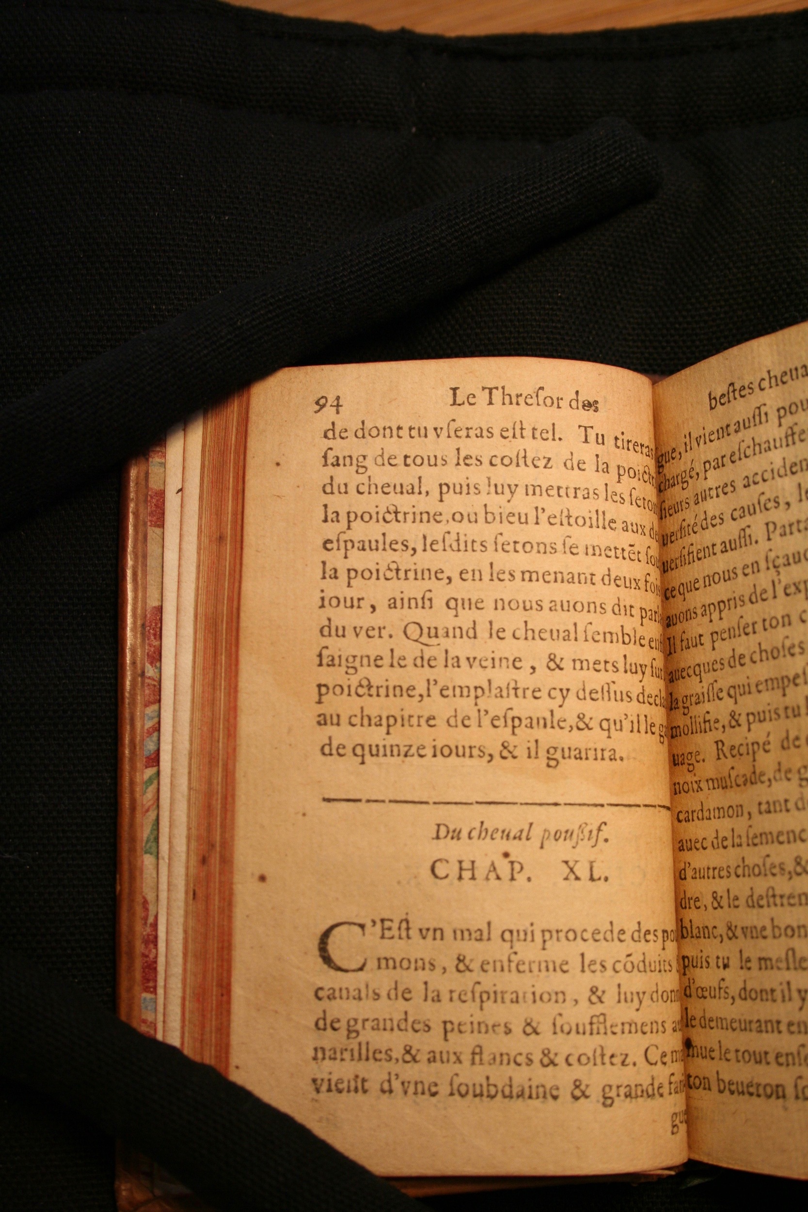 1591 - Pierre Chastaing et Benoît Rigaud - Trésor des bêtes chevalines - BM Bordeaux