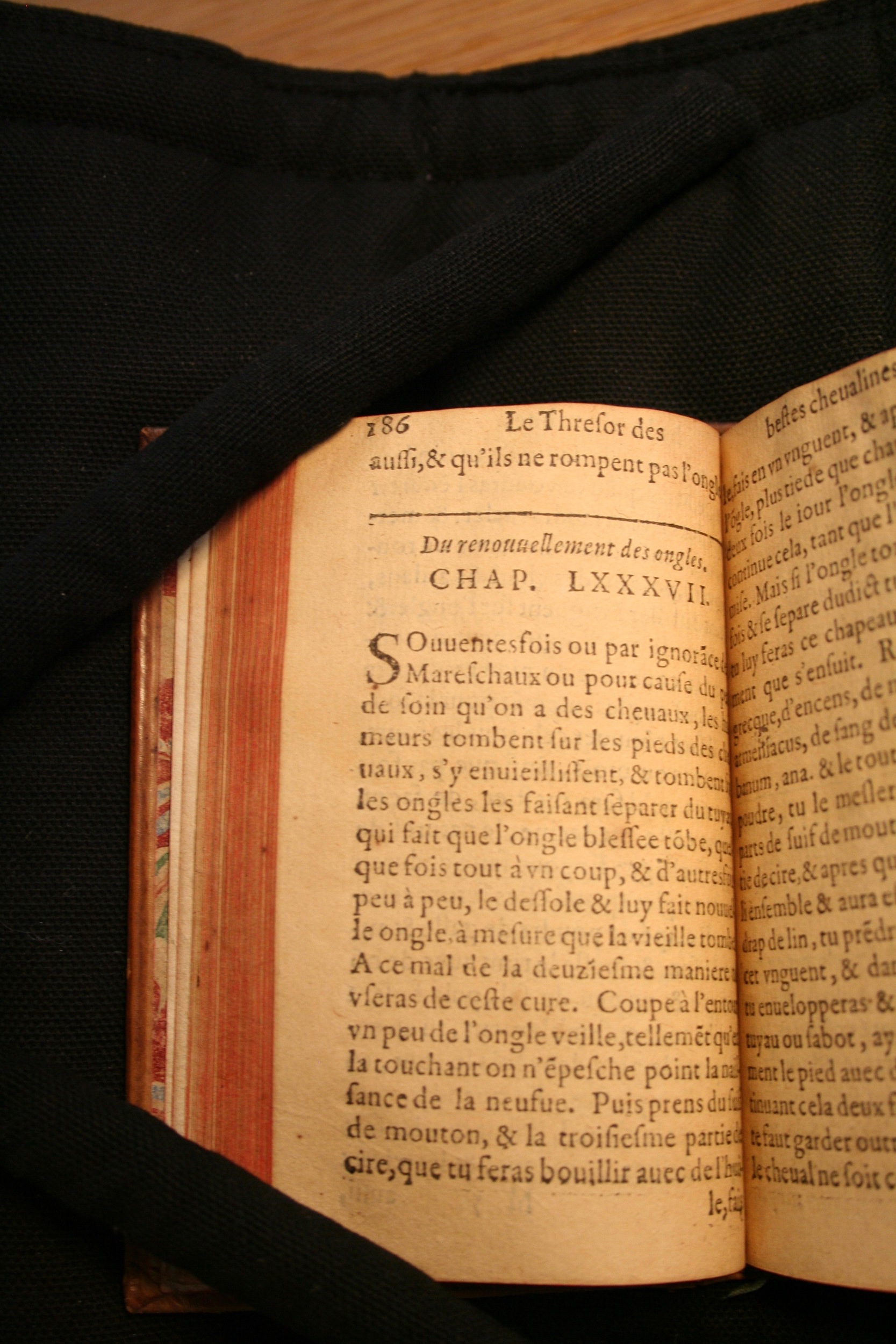 1591 - Pierre Chastaing et Benoît Rigaud - Trésor des bêtes chevalines - BM Bordeaux