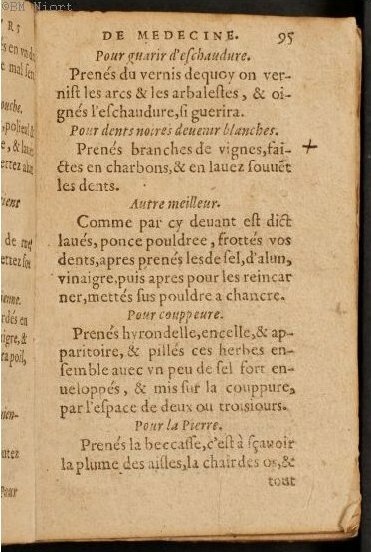 1586 - Benoît Rigaud - Trésor des fleurs et secrets de médecine - Université Paris Cité 1586 - Benoît Rigaud - Trésor des fleurs et secrets de médecine - Université Paris Cité
