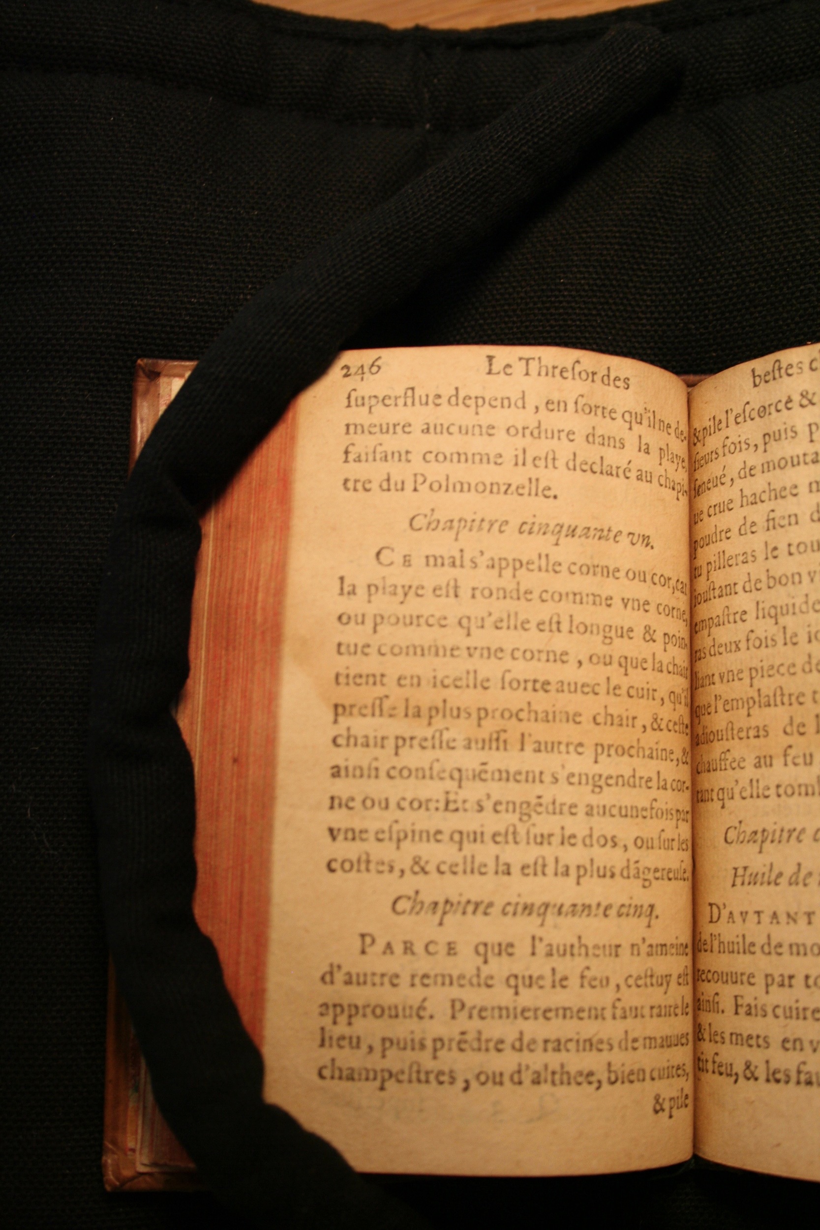 1591 - Pierre Chastaing et Benoît Rigaud - Trésor des bêtes chevalines - BM Bordeaux