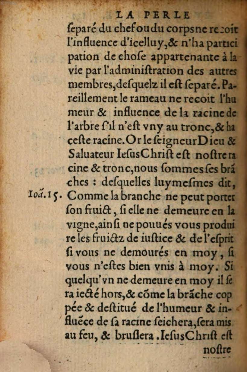 1548 - René Avril et Vivant Gaulterot - Perle précieuse évangélique et Trésor divin - BSB Munich