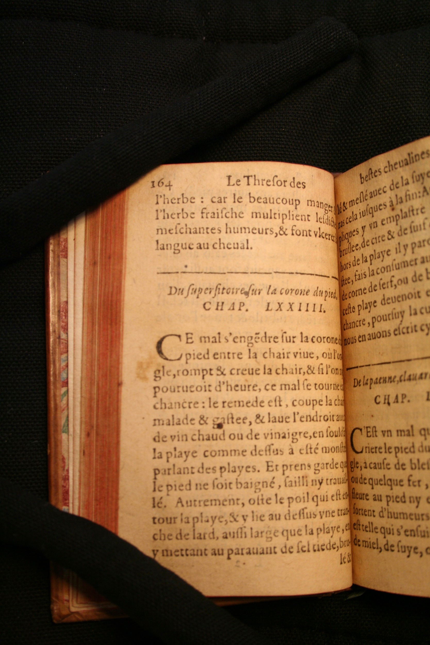 1591 - Pierre Chastaing et Benoît Rigaud - Trésor des bêtes chevalines - BM Bordeaux