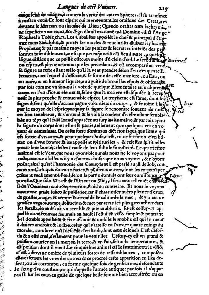 1613 - Matthieu Berjon - Trésor de l’histoire des langues de cet univers - BM Lyon 1613 - Matthieu Berjon - Trésor de l’histoire des langues de cet univers - BM Lyon