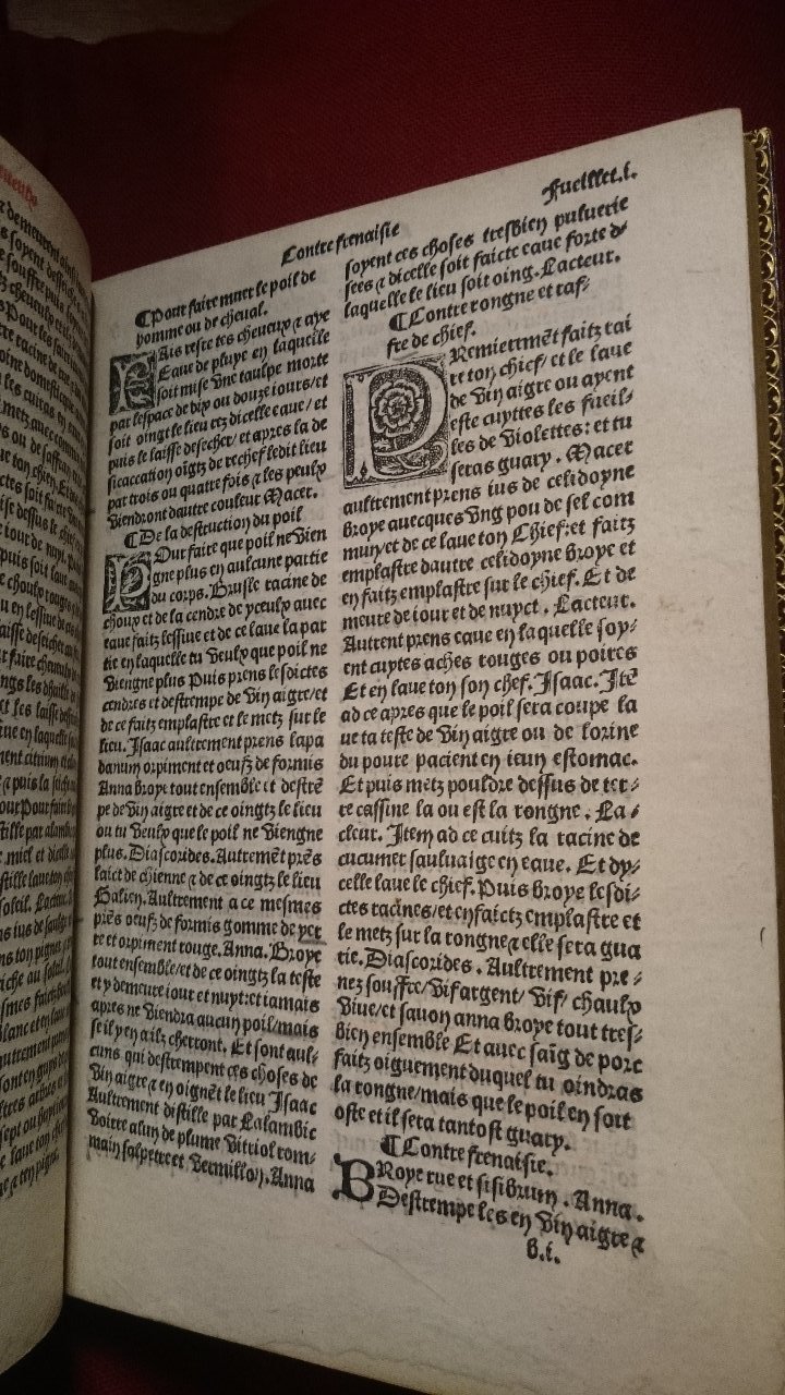 1568 - Willem Silvius - Trésor des vies de Plutarque - BnF
