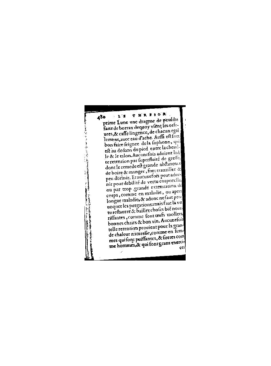 1578 - Benoît Rigaud - Trésor de médecine tant théorique que pratique - BnF