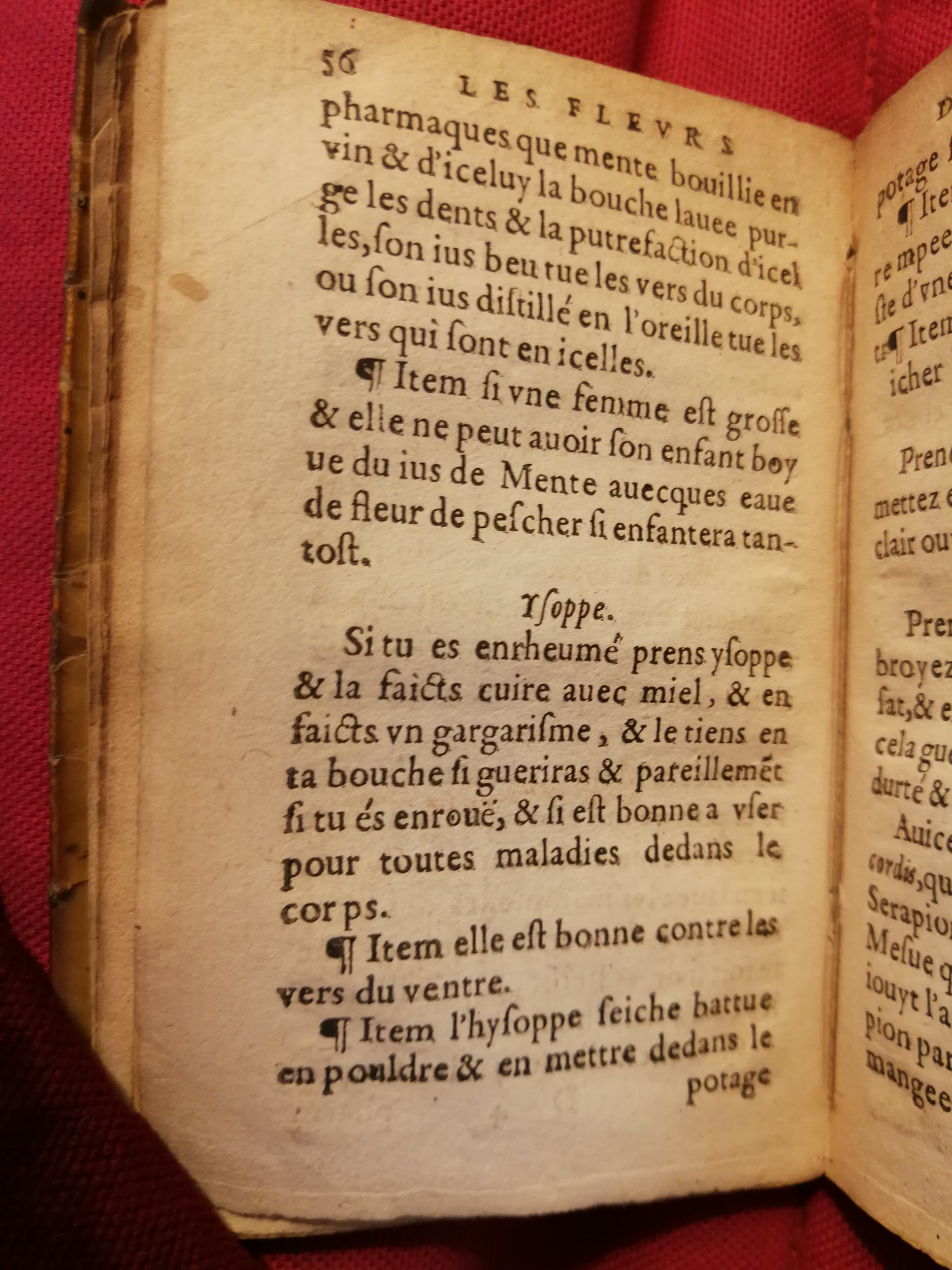 1586 - Benoît Rigaud - Trésor des fleurs et secrets de médecine - Sainte-Geneviève