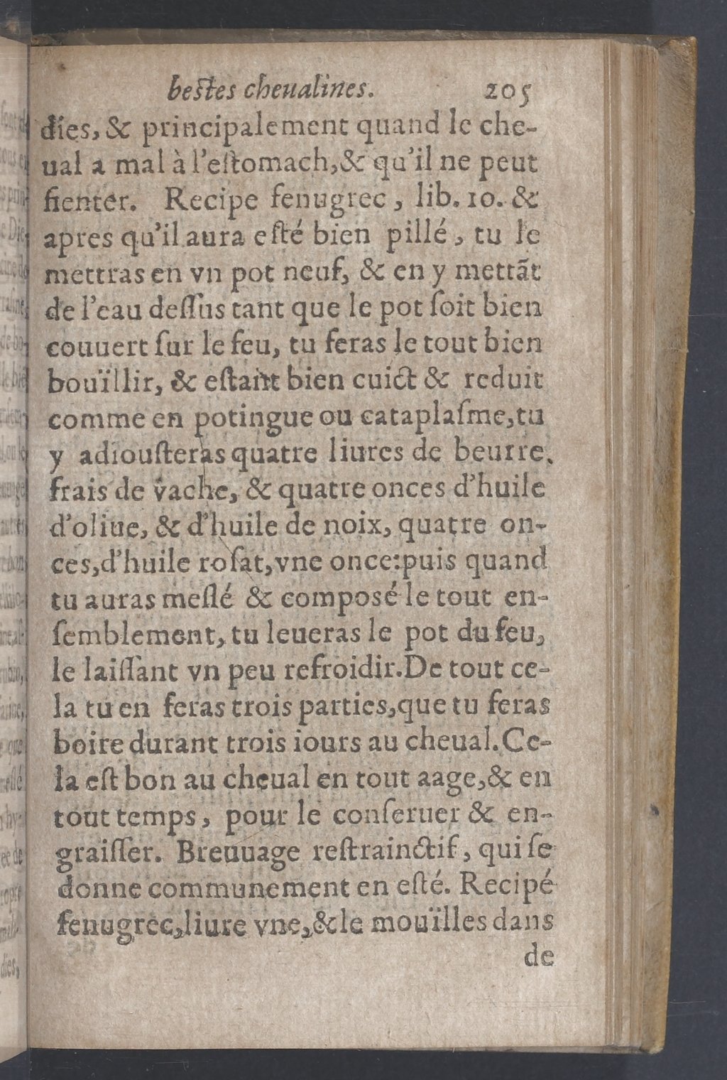 1619 - Pierre Rigaud - Trésor des bêtes chevalines - BnF