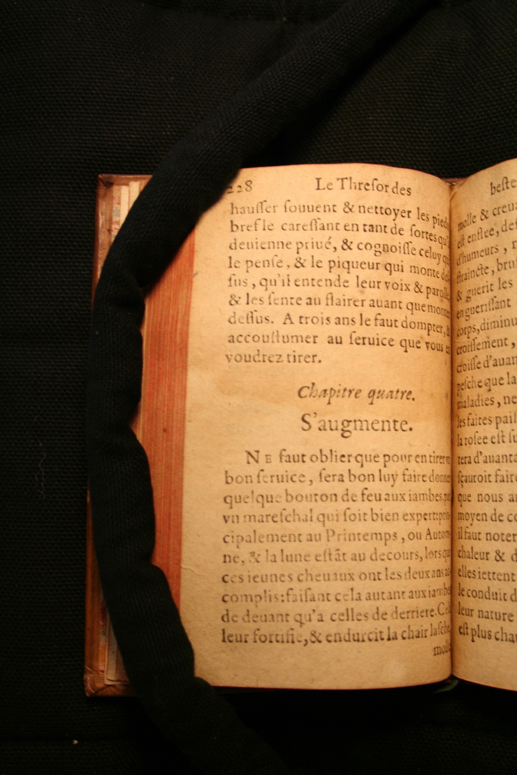 1591 - Pierre Chastaing et Benoît Rigaud - Trésor des bêtes chevalines - BM Bordeaux