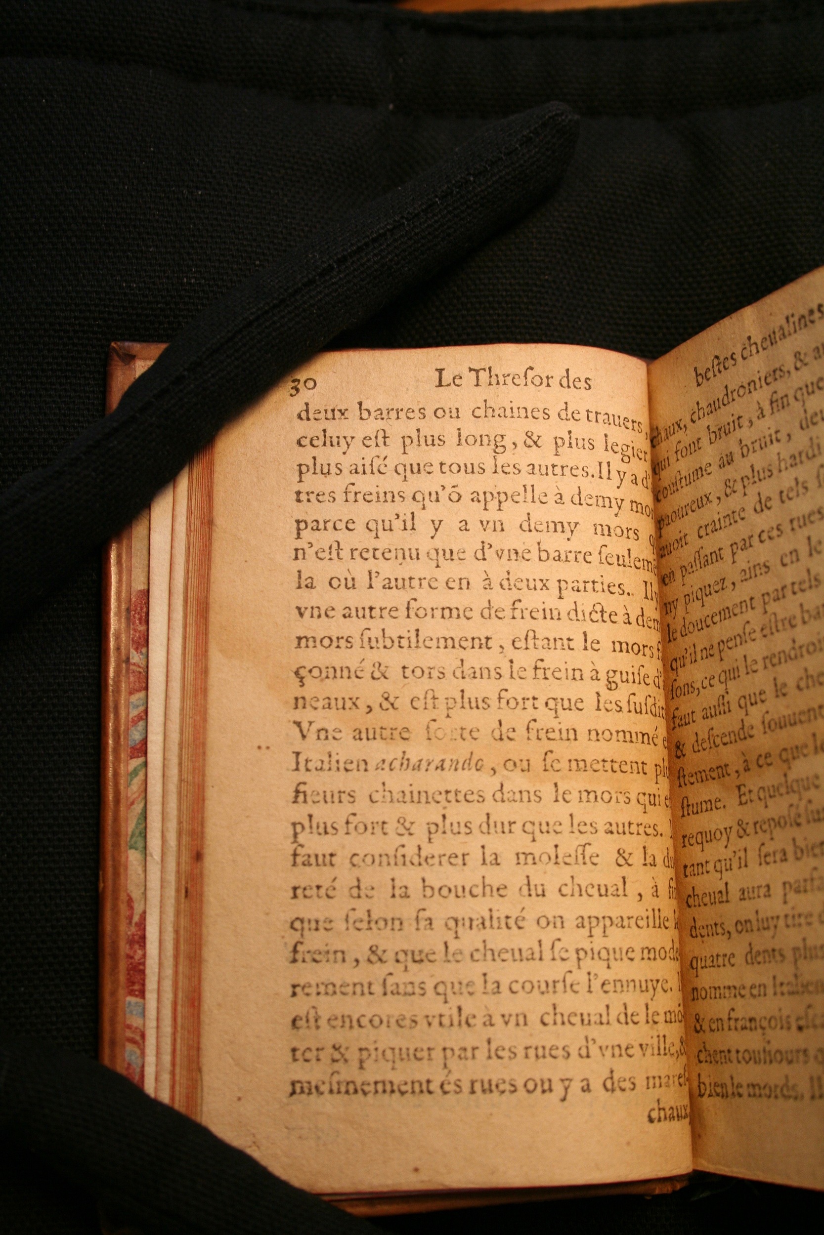 1591 - Pierre Chastaing et Benoît Rigaud - Trésor des bêtes chevalines - BM Bordeaux