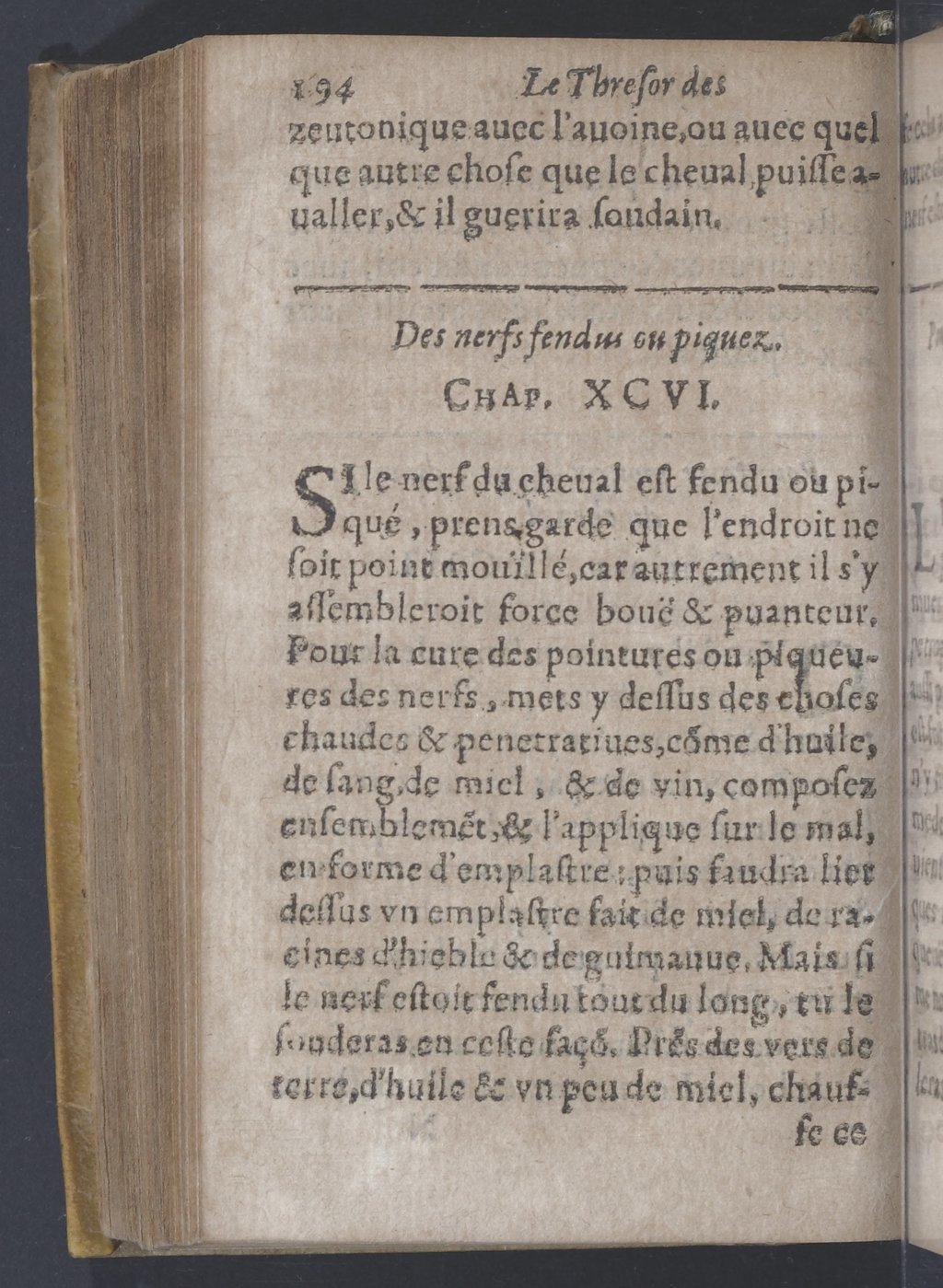 1619 - Pierre Rigaud - Trésor des bêtes chevalines - BnF 1619 - Pierre Rigaud - Trésor des bêtes chevalines - BnF