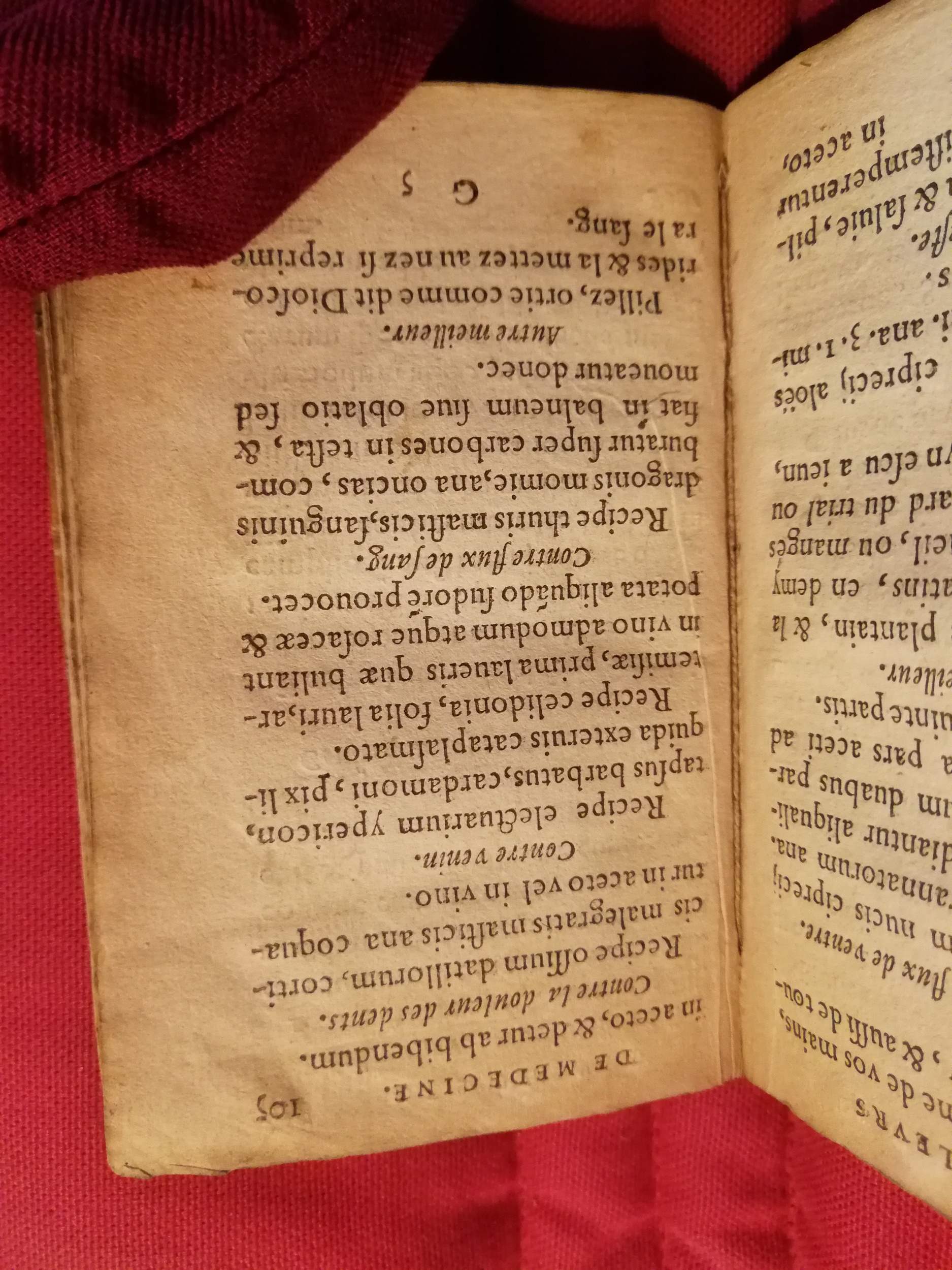 1586 - Benoît Rigaud - Trésor des fleurs et secrets de médecine - Sainte-Geneviève