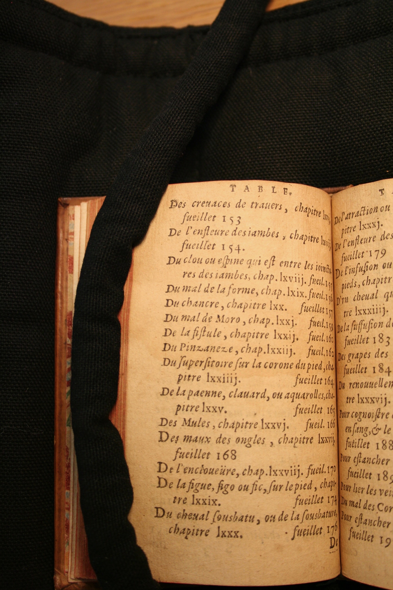 1591 - Pierre Chastaing et Benoît Rigaud - Trésor des bêtes chevalines - BM Bordeaux