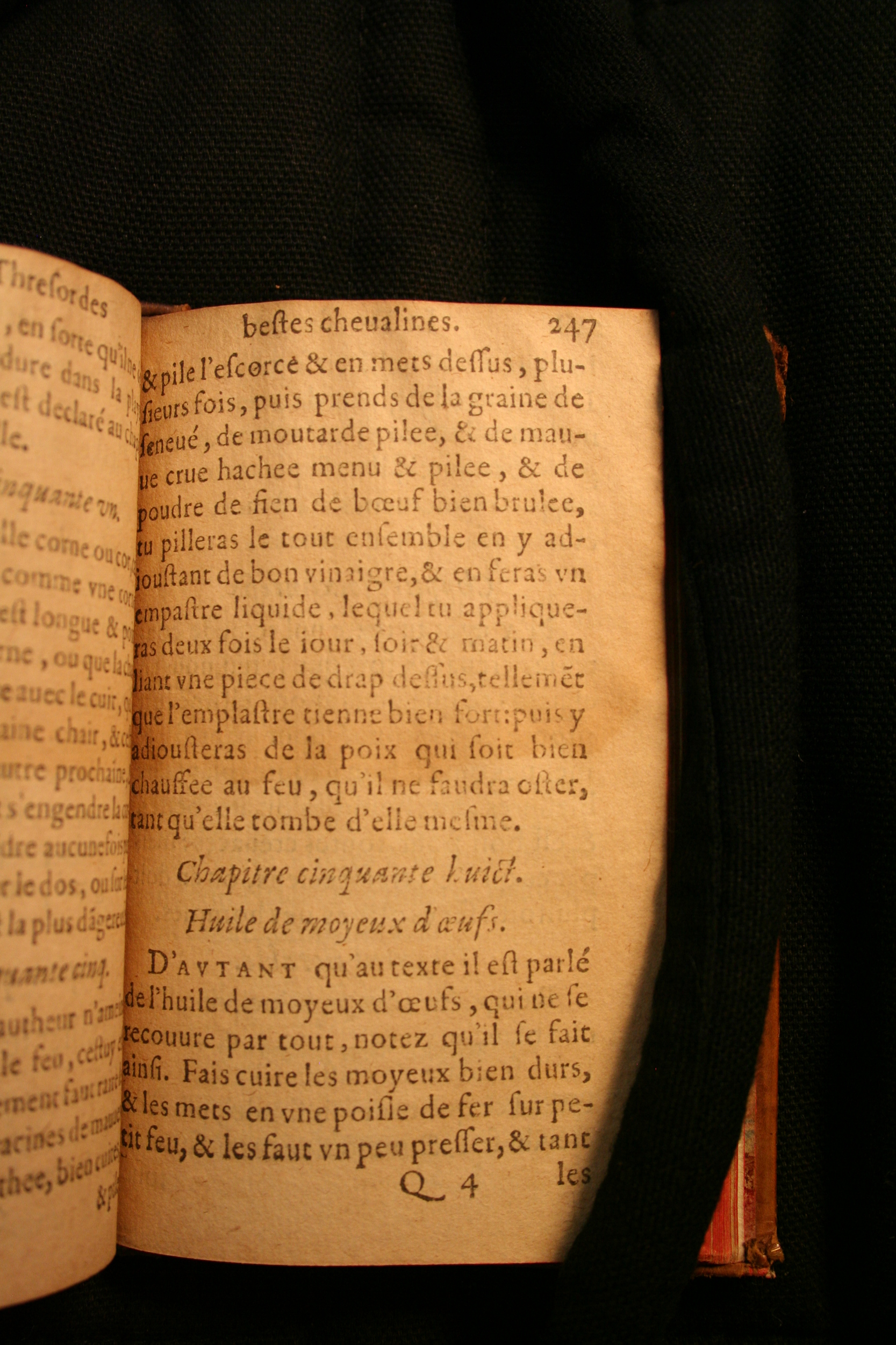 1591 - Pierre Chastaing et Benoît Rigaud - Trésor des bêtes chevalines - BM Bordeaux