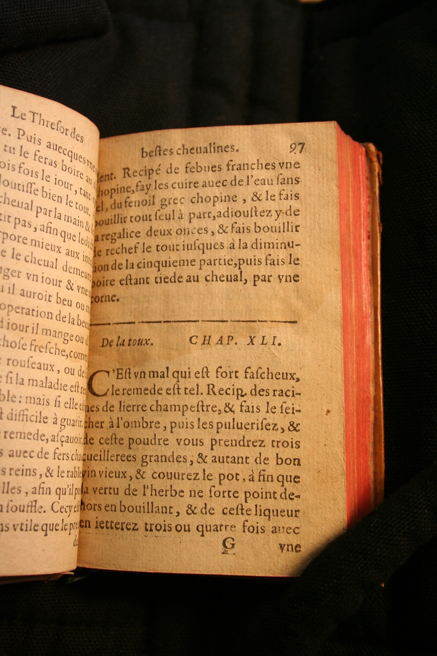 1591 - Pierre Chastaing et Benoît Rigaud - Trésor des bêtes chevalines - BM Bordeaux