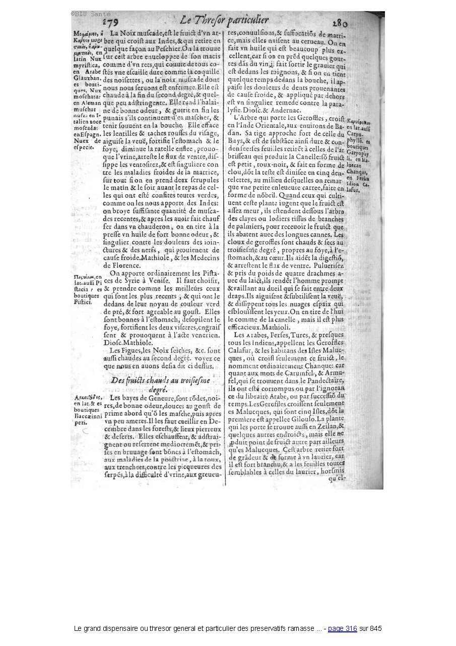 1609 - Étienne Gamonet - Grand dispensaire ou Trésor général et particulier des préservatifs - BIU Santé 1609 - Étienne Gamonet - Grand dispensaire ou Trésor général et particulier des préservatifs - BIU Santé