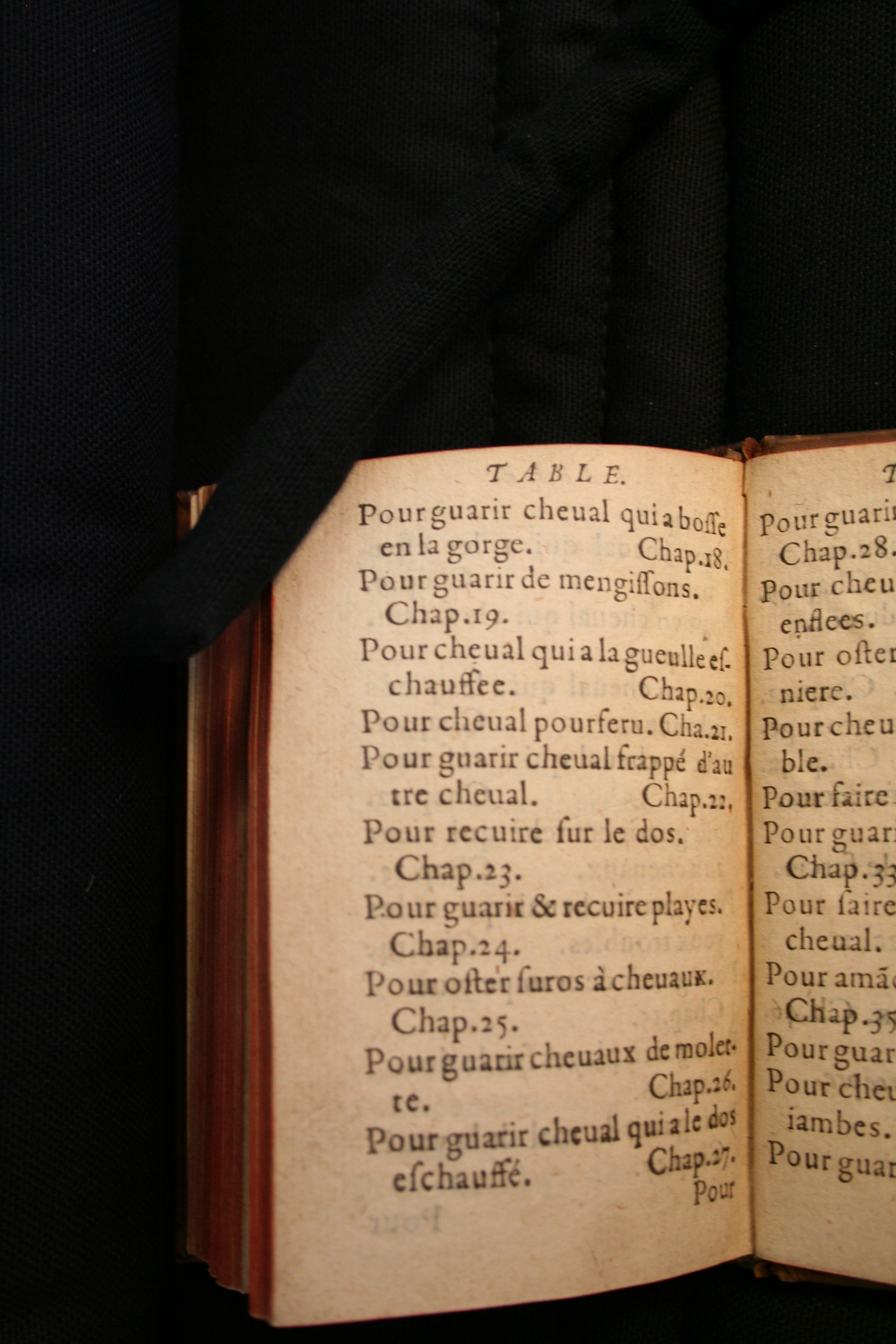 1591 - Pierre Chastaing et Benoît Rigaud - Trésor des bêtes chevalines - BM Bordeaux