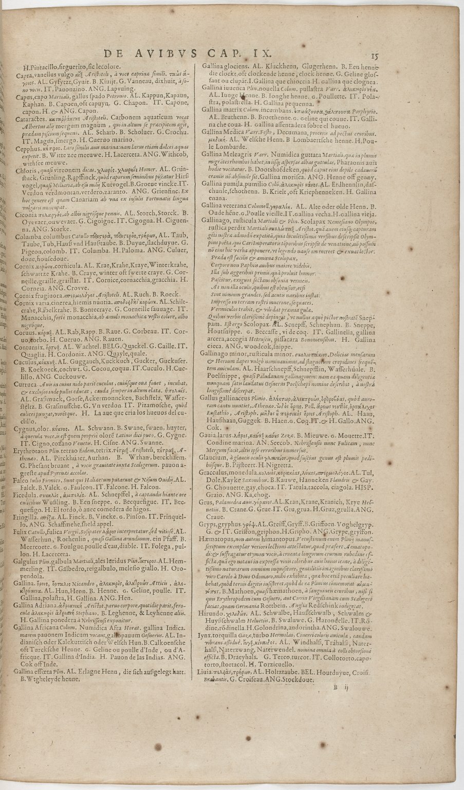 1606 - David Douceur - Trésor de la langue française - BnF