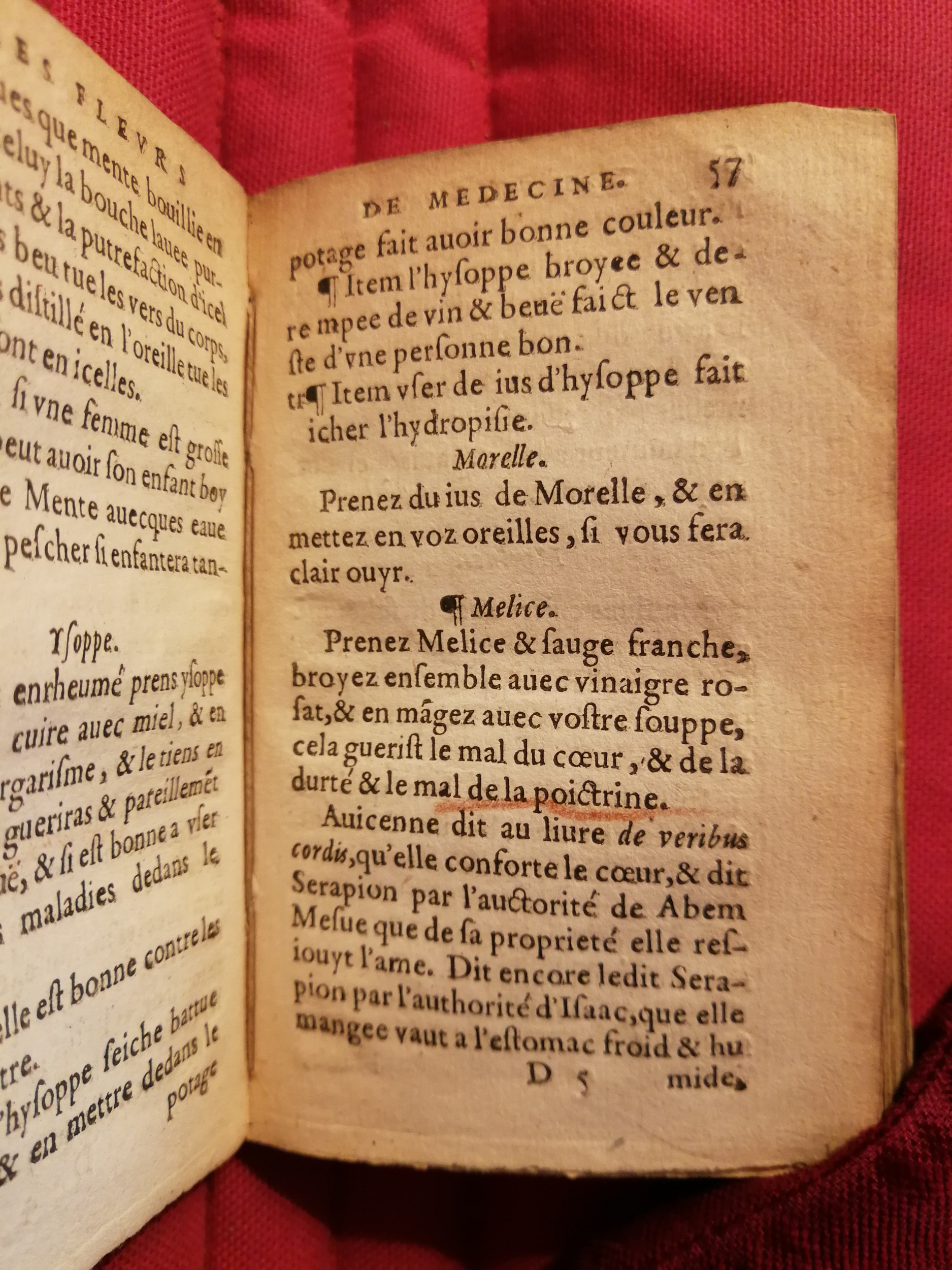 1586 - Benoît Rigaud - Trésor des fleurs et secrets de médecine - Sainte-Geneviève