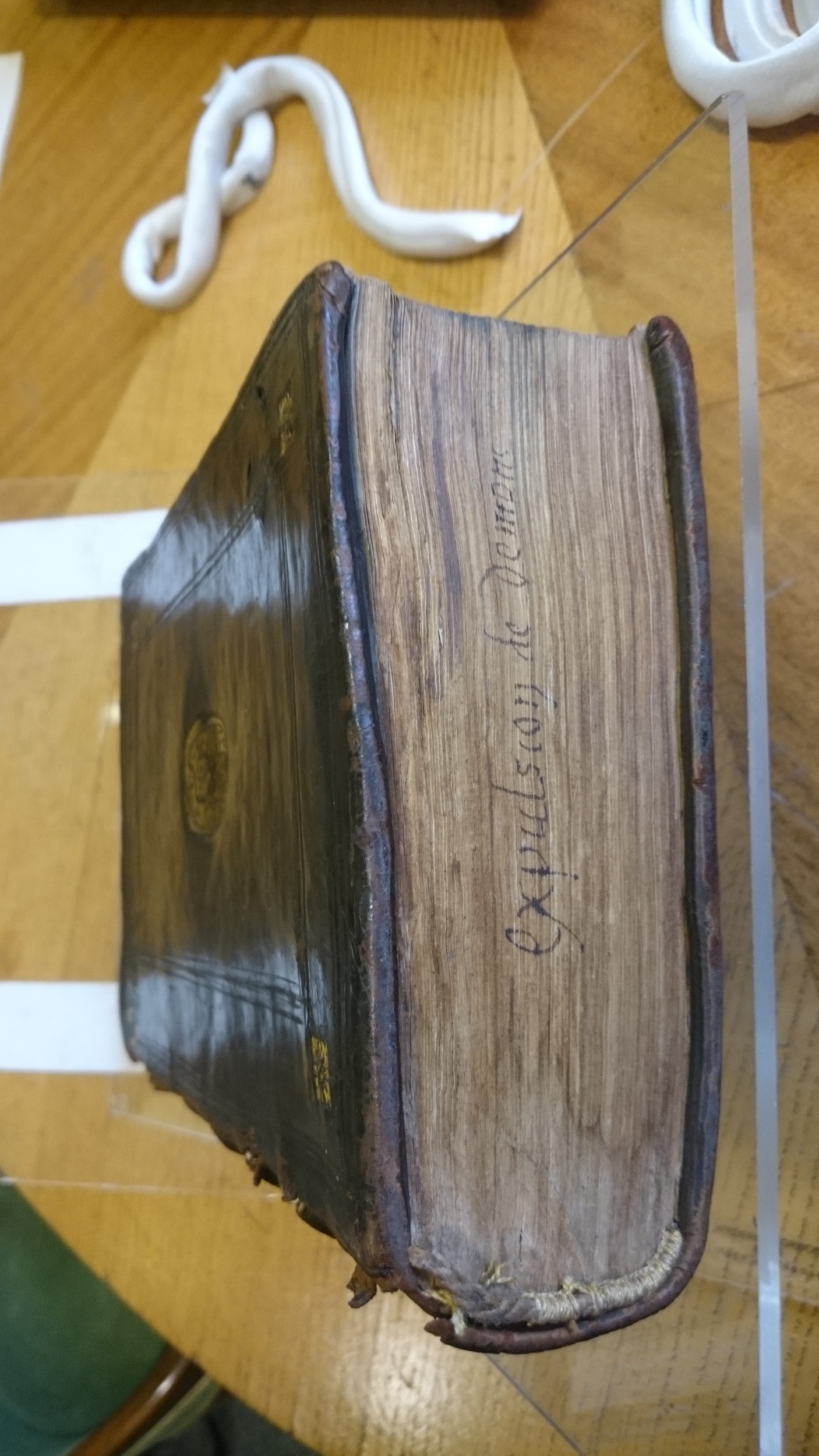 1578 - Nicolas Chesneau - Trésor et entière histoire de la triomphante victoire du corps de Dieu sur l’esprit malin - Douai Quincy
