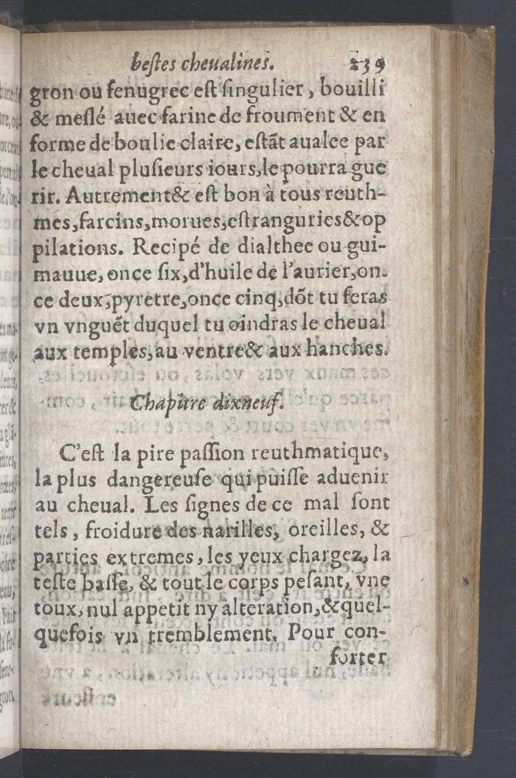 1619 - Pierre Rigaud - Trésor des bêtes chevalines - BnF