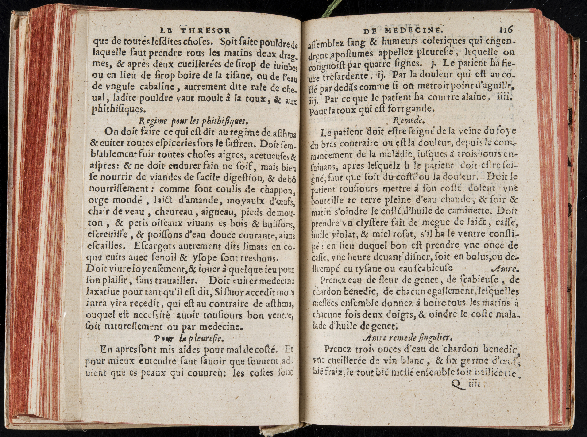 1560 - Nicolas Pelletier - Trésor de médecine - BM Poitiers