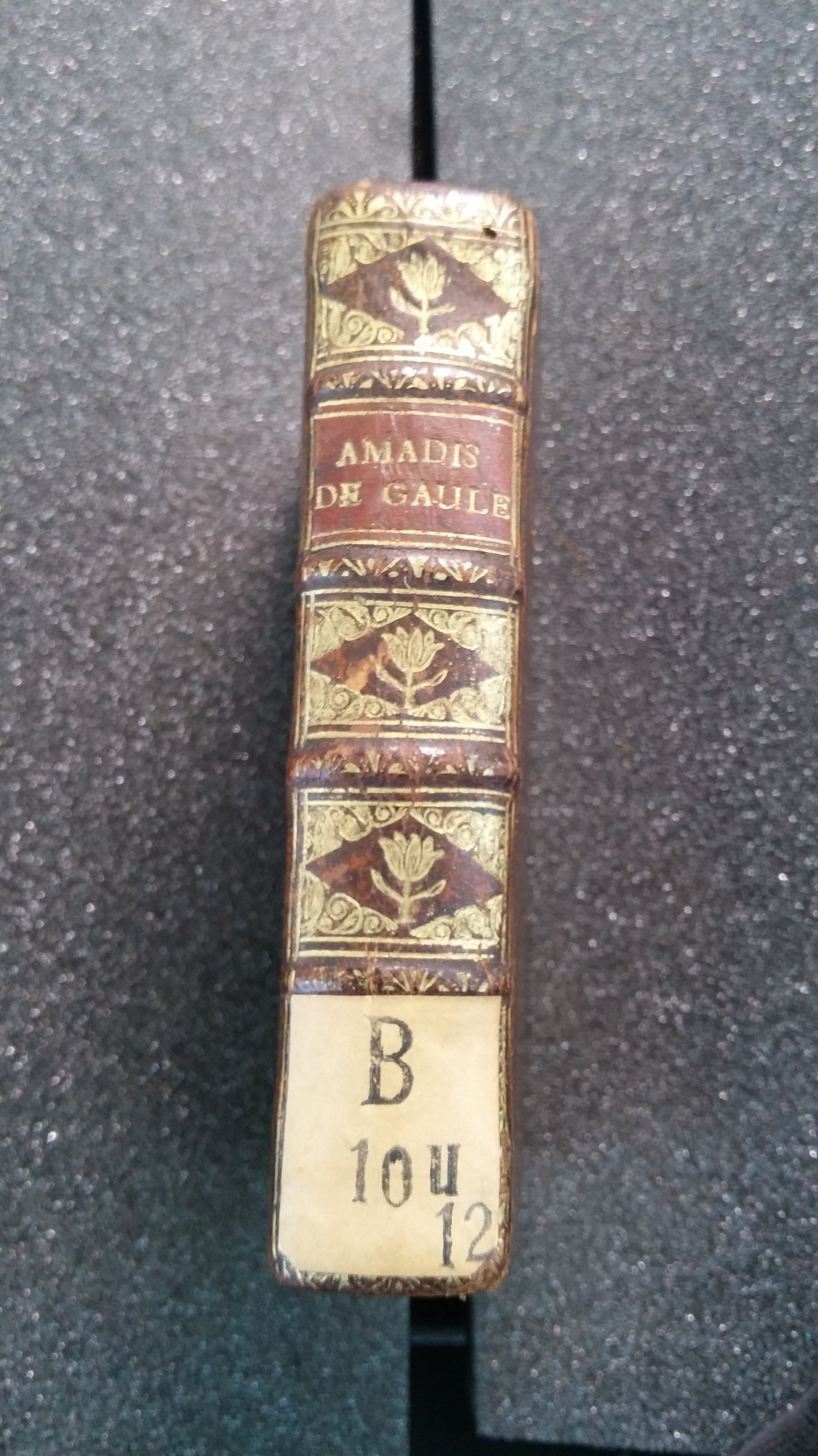 1562 - Jean d’Ogerolles et Gabriel Cotier - Trésor des Amadis - Lucerne 1562 - Jean d’Ogerolles et Gabriel Cotier - Trésor des Amadis - Lucerne
