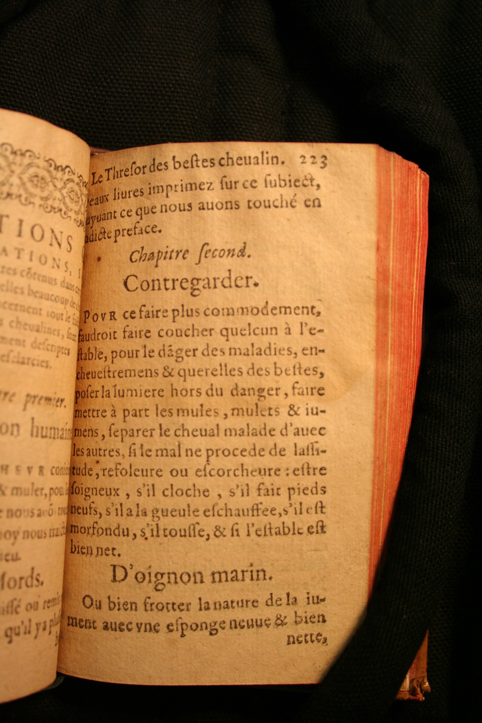 1591 - Pierre Chastaing et Benoît Rigaud - Trésor des bêtes chevalines - BM Bordeaux