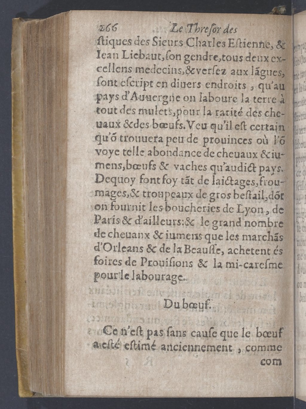 1619 - Pierre Rigaud - Trésor des bêtes chevalines - BnF