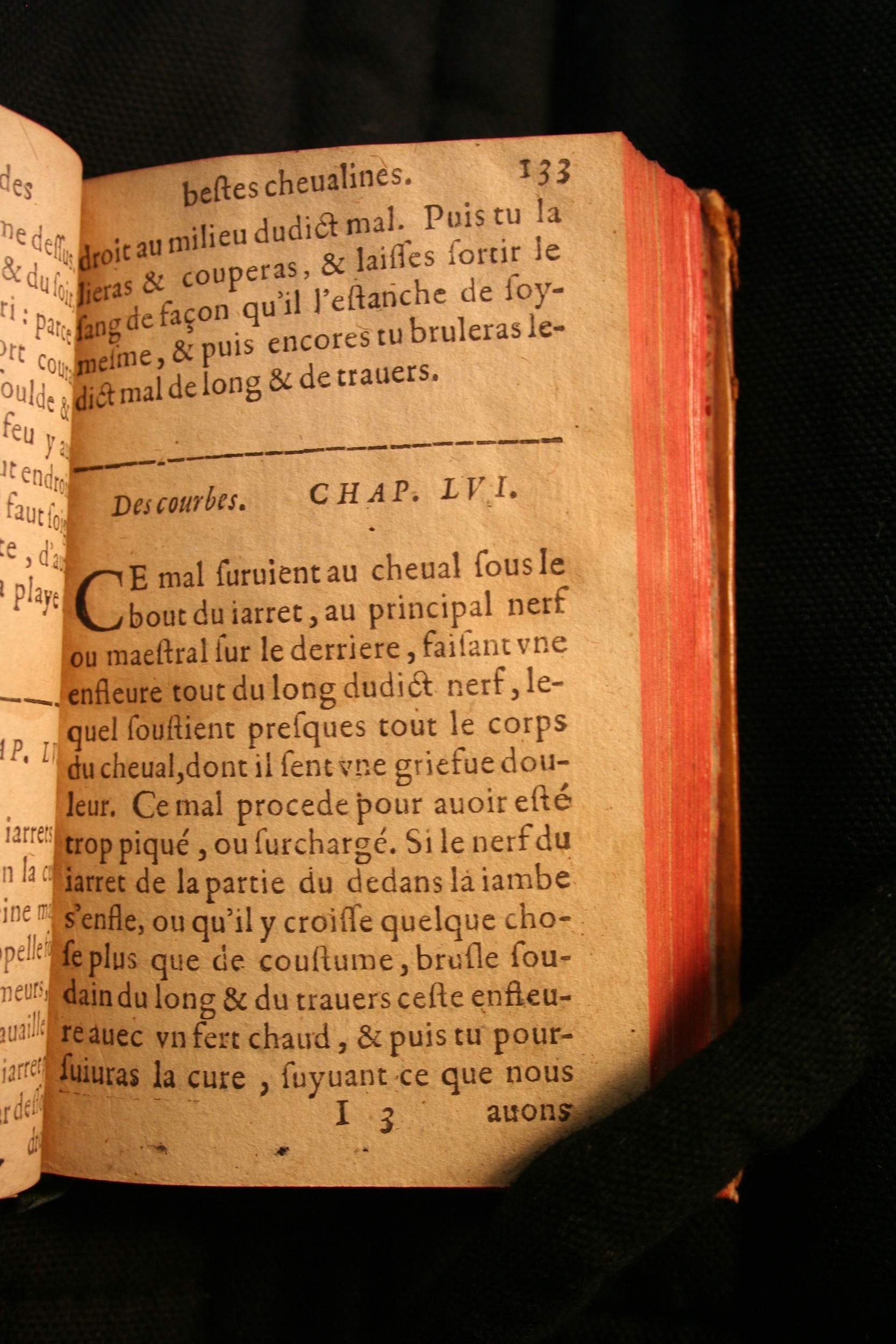 1591 - Pierre Chastaing et Benoît Rigaud - Trésor des bêtes chevalines - BM Bordeaux