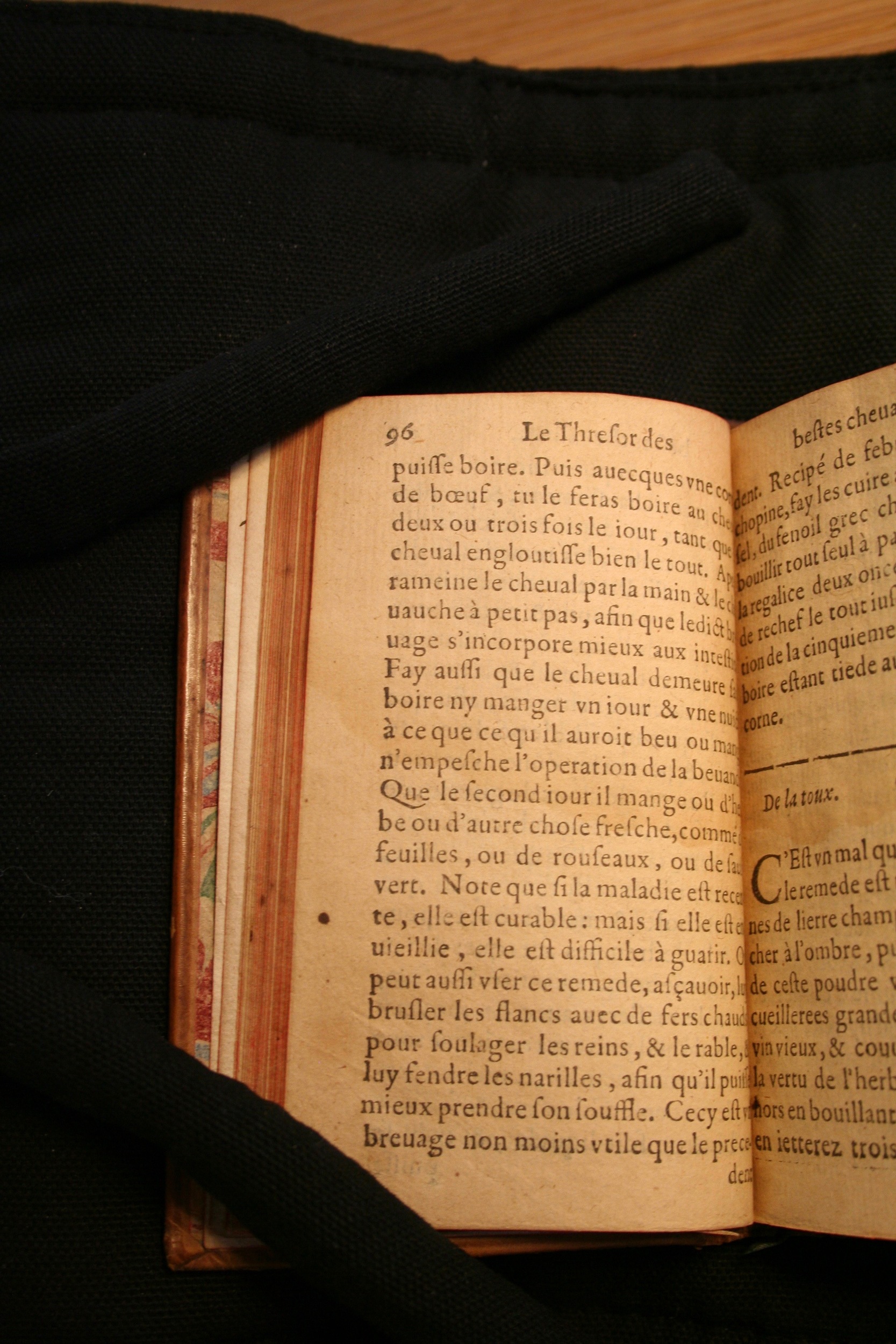 1591 - Pierre Chastaing et Benoît Rigaud - Trésor des bêtes chevalines - BM Bordeaux
